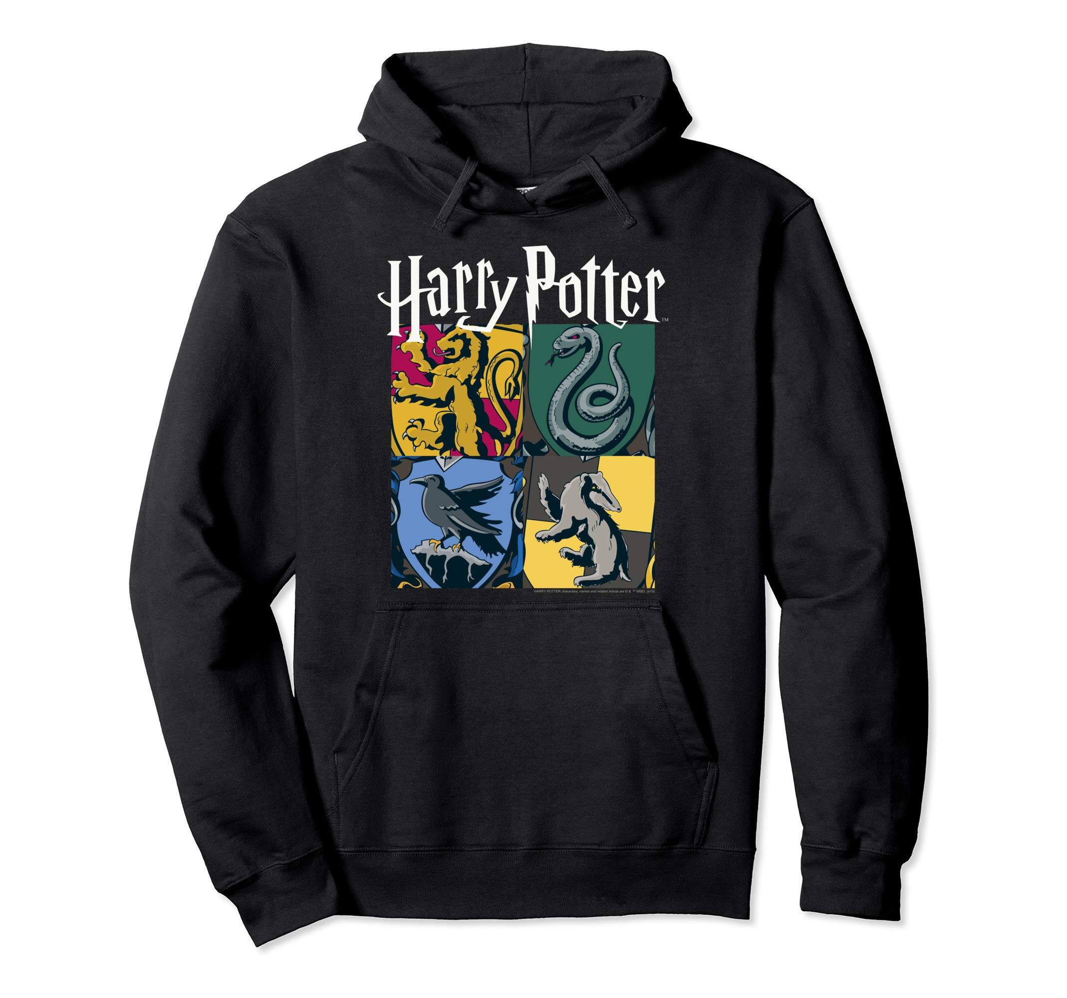 Harry PotterHogwarts House Box Up Pullover Hoodie