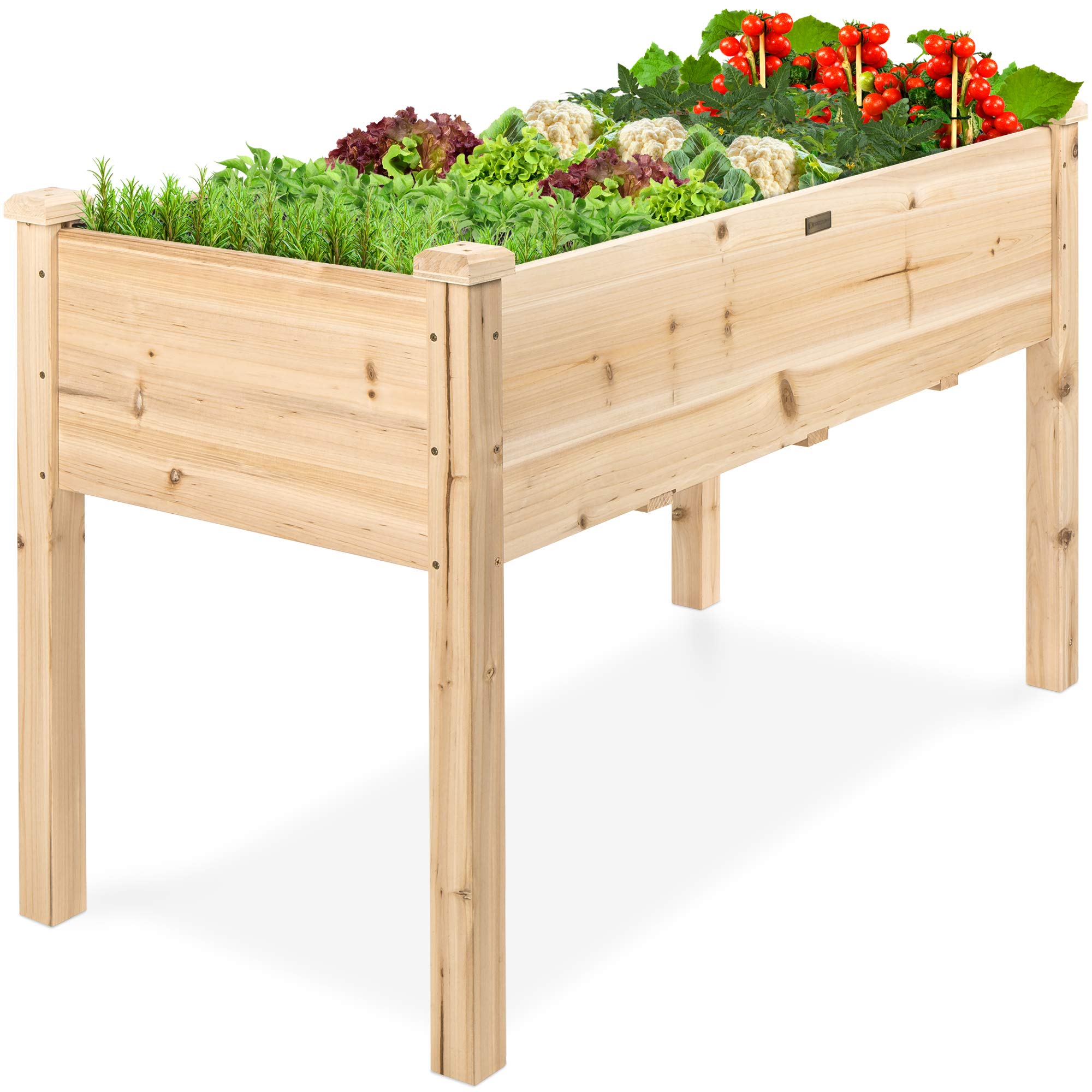 Best Choice Products Raised Vegetable Garden Bed Elevated Planter Kit Grow Gardening Vegetables