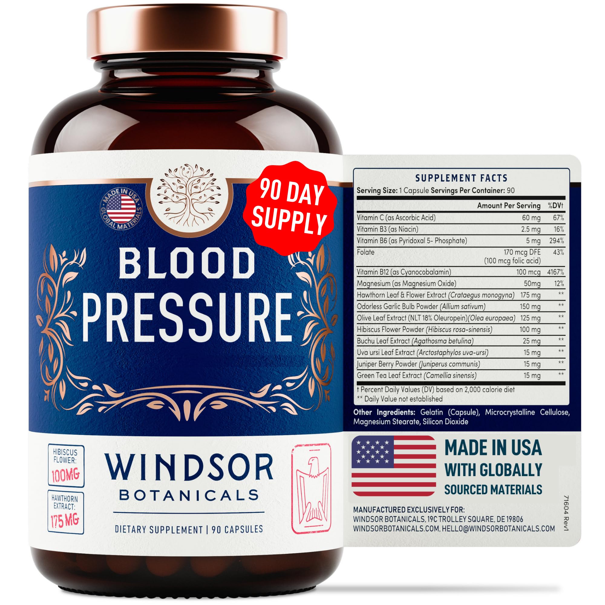 Blood Pressure Support Supplement - Green Tea, Hibiscus, Hawthorn, Garlic Blood Pressure Supplements - Blood Pressure Vitamin, Mineral and Activated Naturals - 3 Month Supply, 90 Capsules