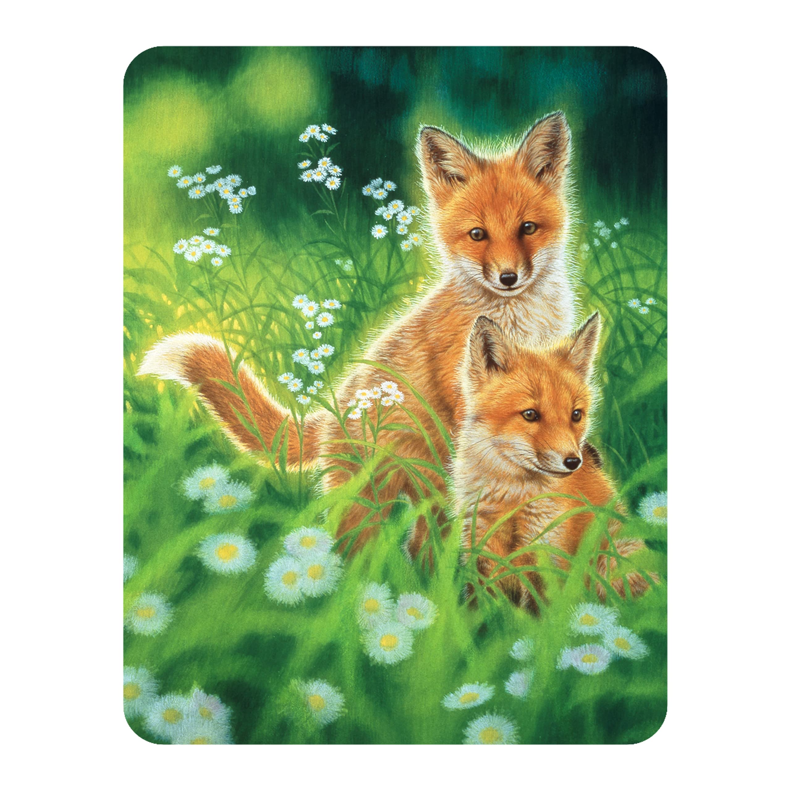 3D LiveLife Magnet - Spring Foxes from Deluxebase. Lenticular 3D Fox Fridge Magnet. Magnetic decor for kids and adults with artwork licensed from renowned artist, Joh Naito