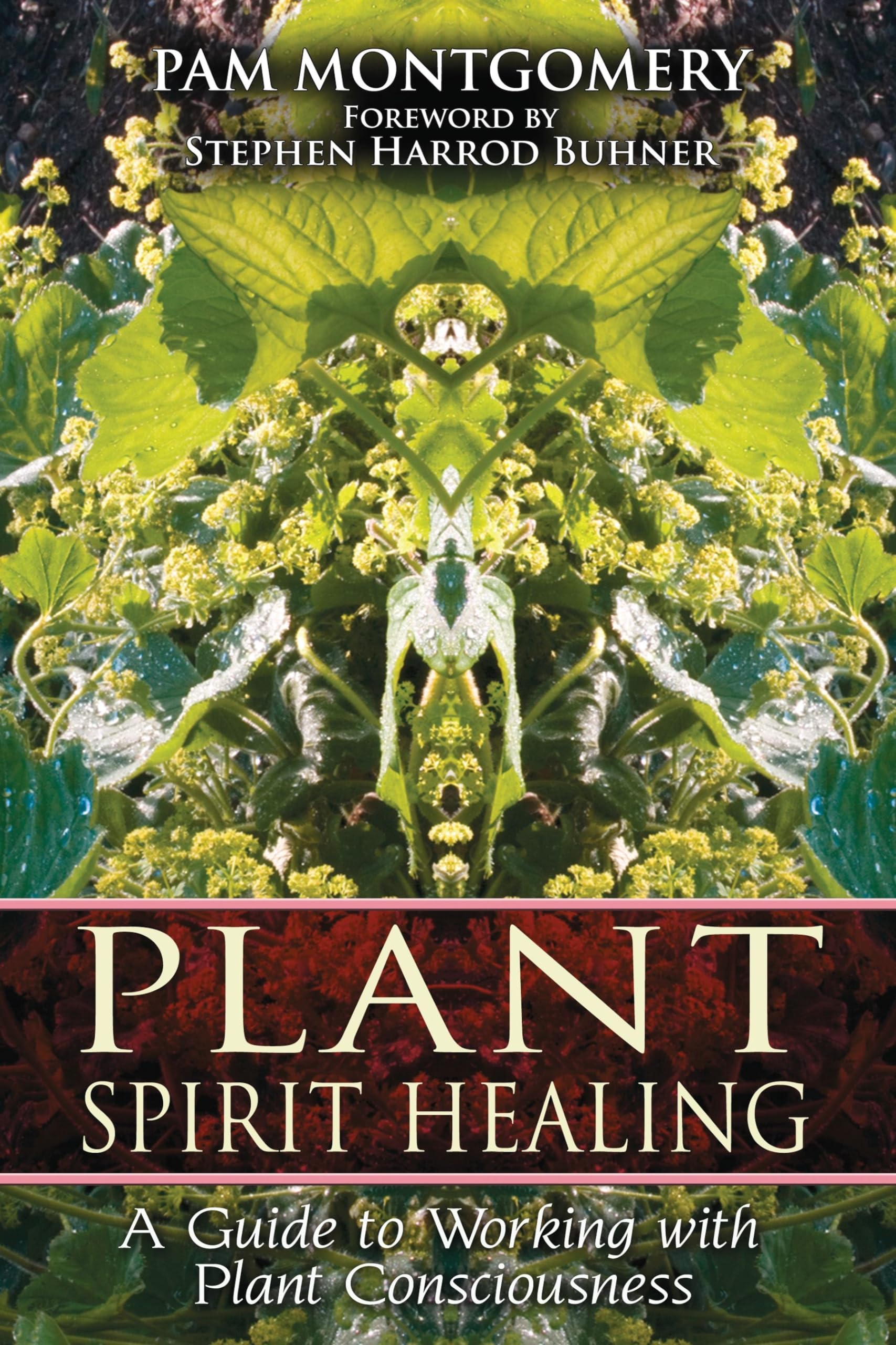 Plant Spirit Healing: A Guide to Working with Plant Consciousness