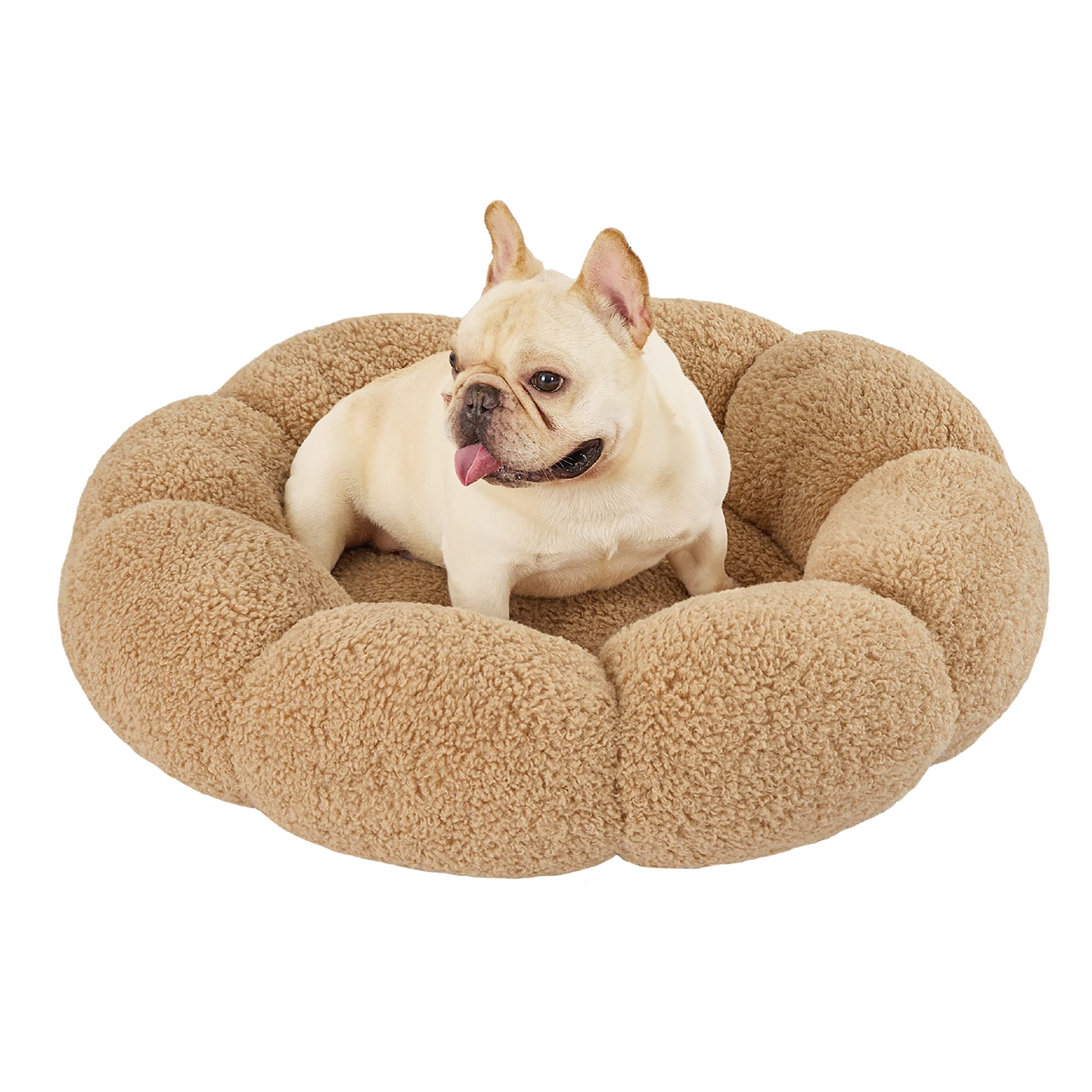 6+ Flower Dog Bed