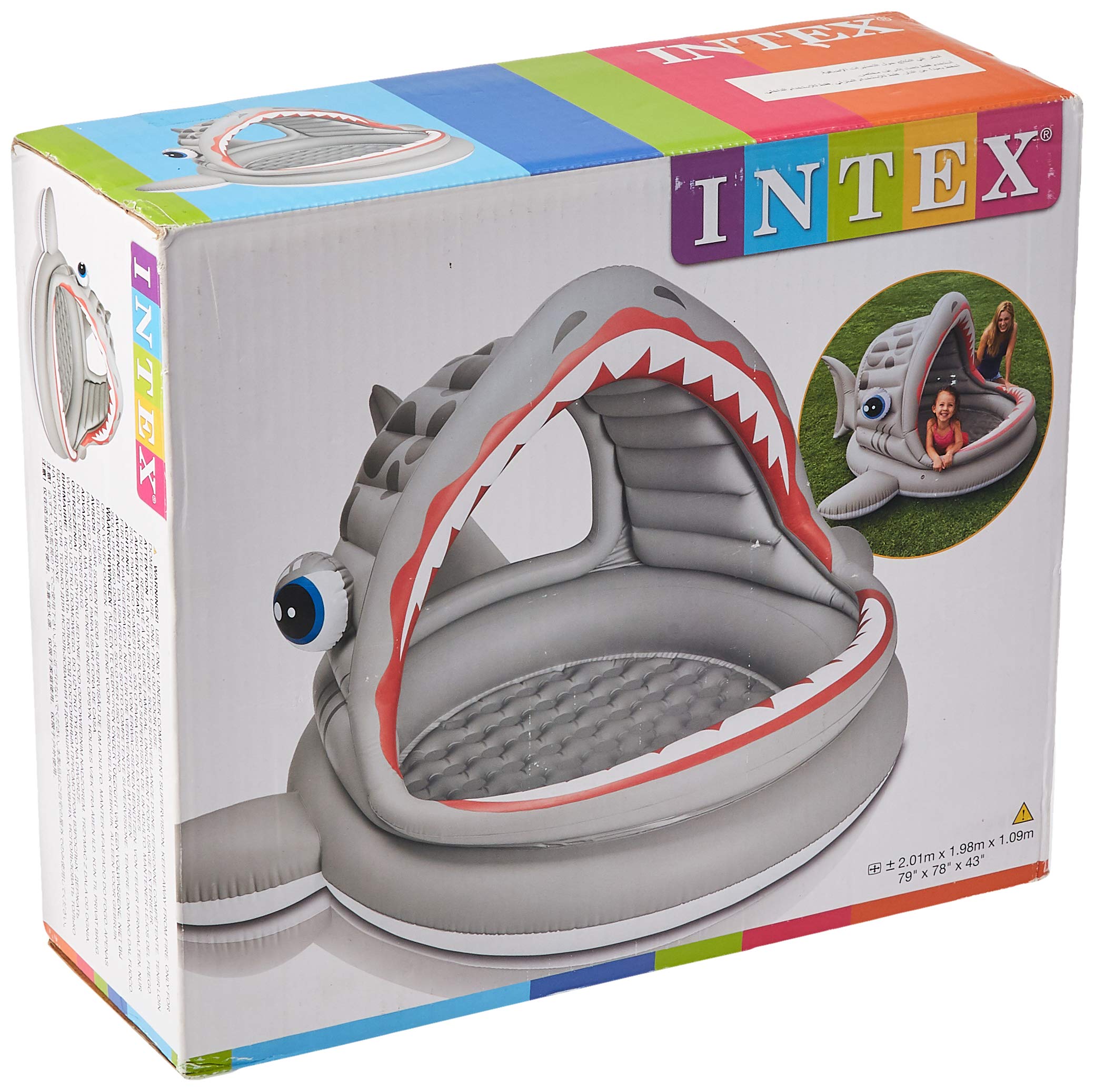 Intex Roaring Shark Shade Pool, Multi-Colour, 57120