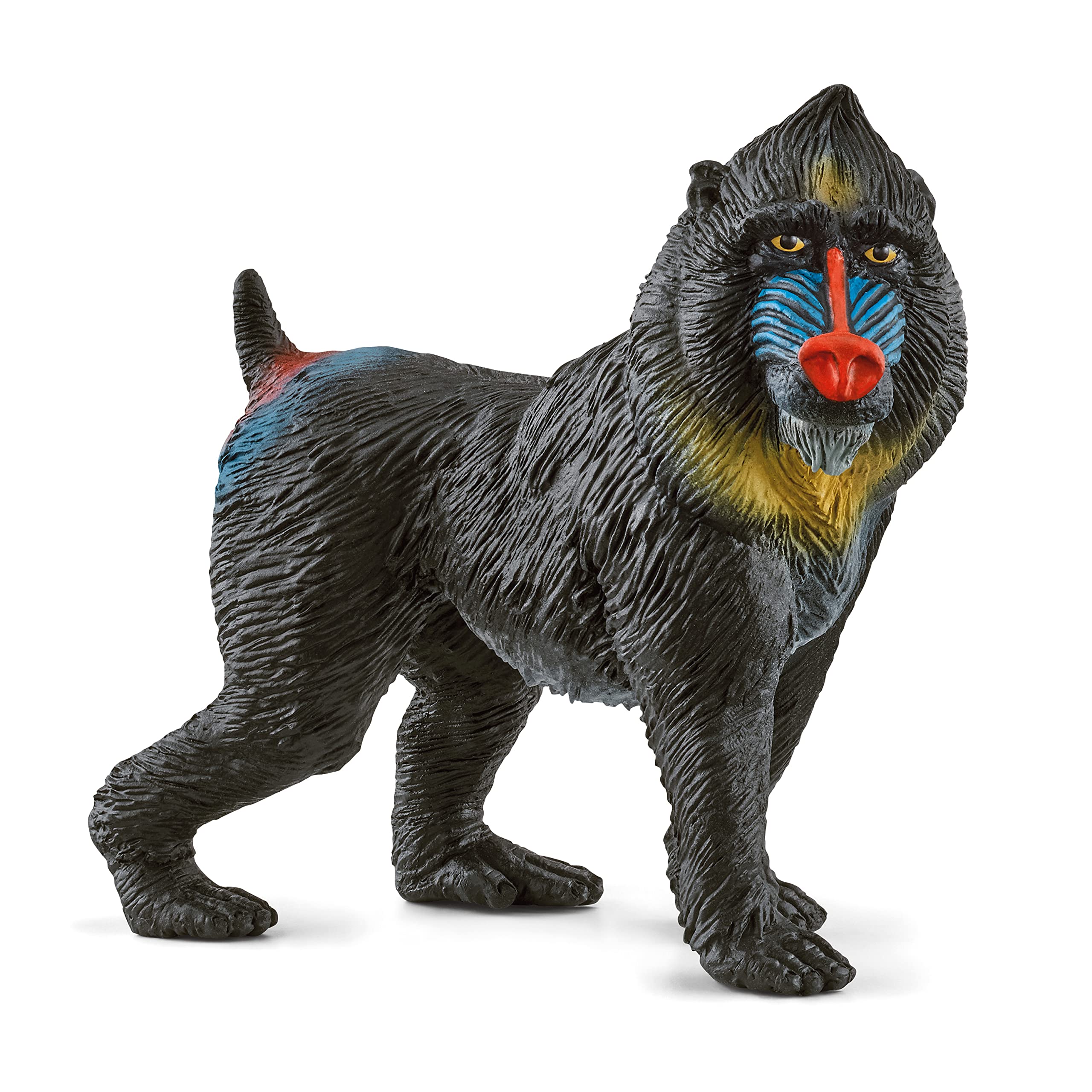 Schleich Wild Life Realistic Mandrill Monkey Figurine - Authentic and Highly Detailed Wild Animal Toy, Durable for Education and Fun Play for Kids, Perfect for Boys and Girls, Ages 3+