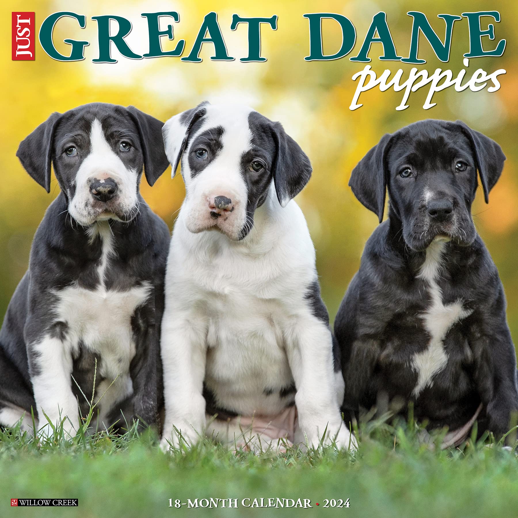 Just Great Dane Puppies 2024 Calendar