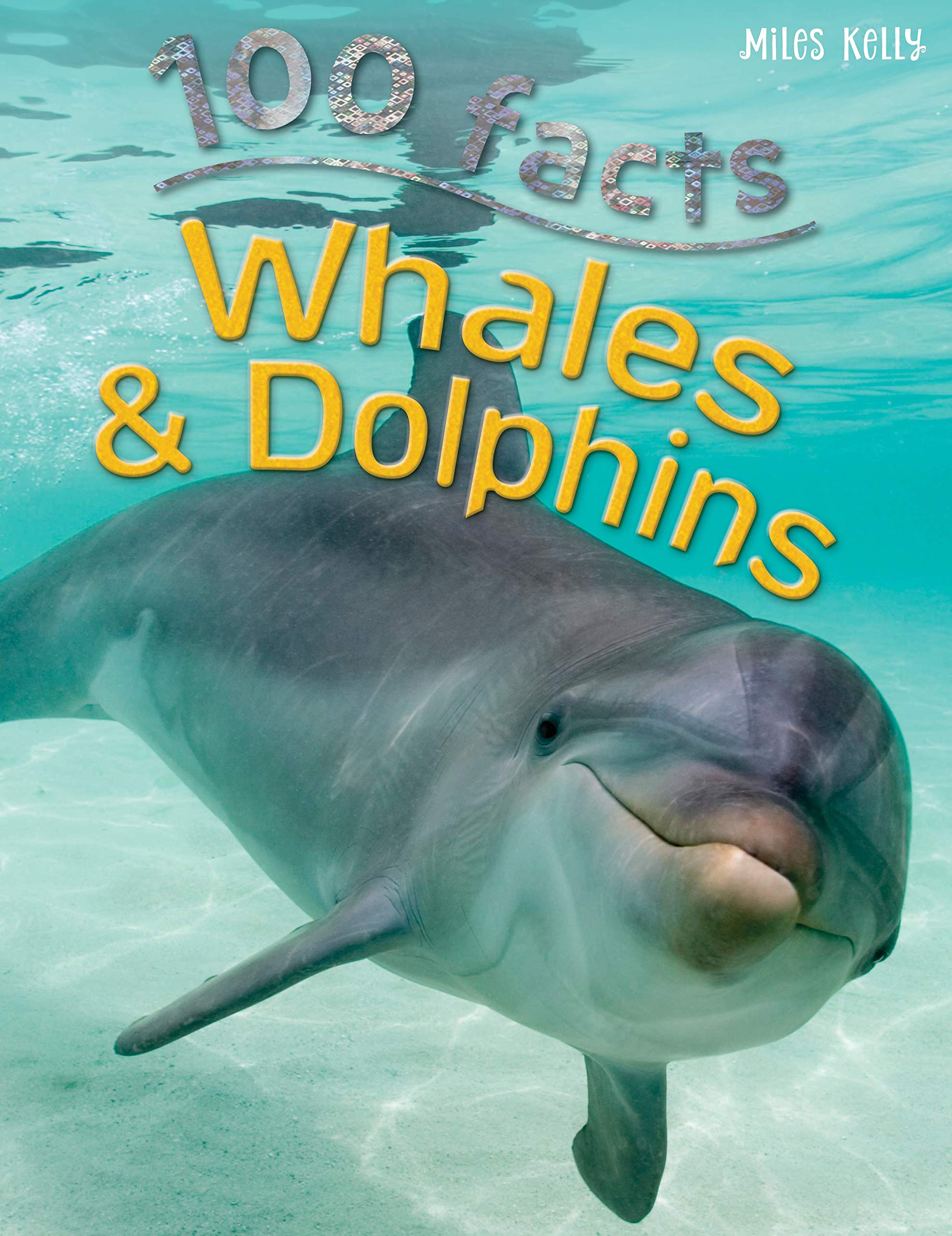 100 Facts Whales & Dolphins