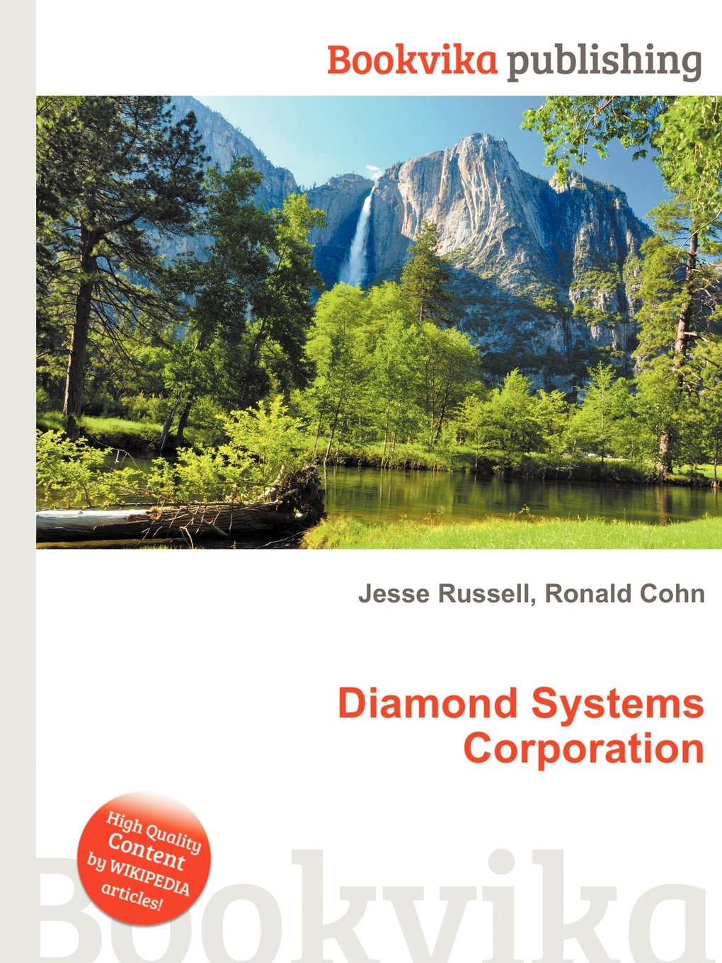 Diamond Systems Corporation