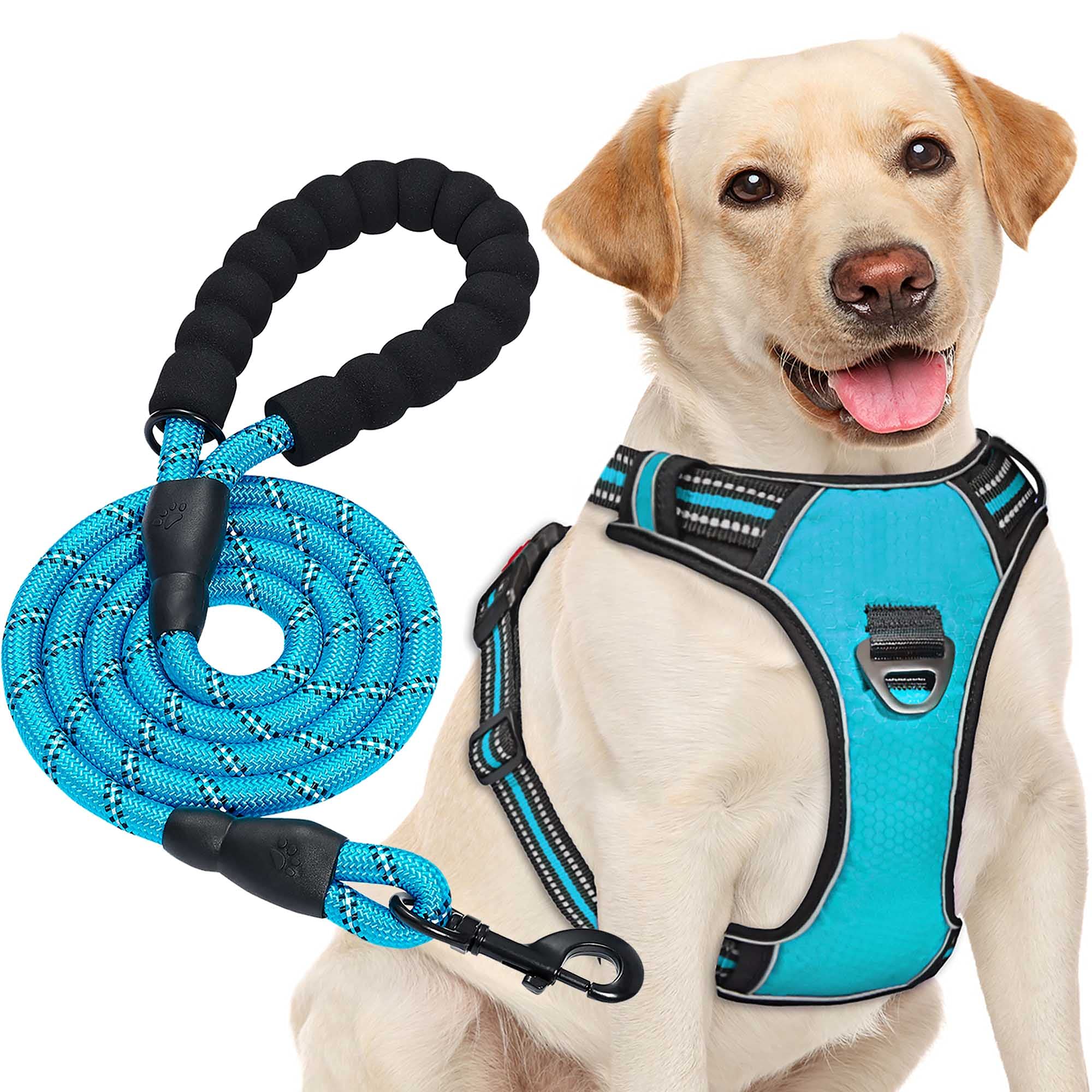 haapawNo Pull Dog Harness Adjustable Reflective Oxford Easy Control Medium Large Dog Harness with a Free Heavy Duty Dog Lead