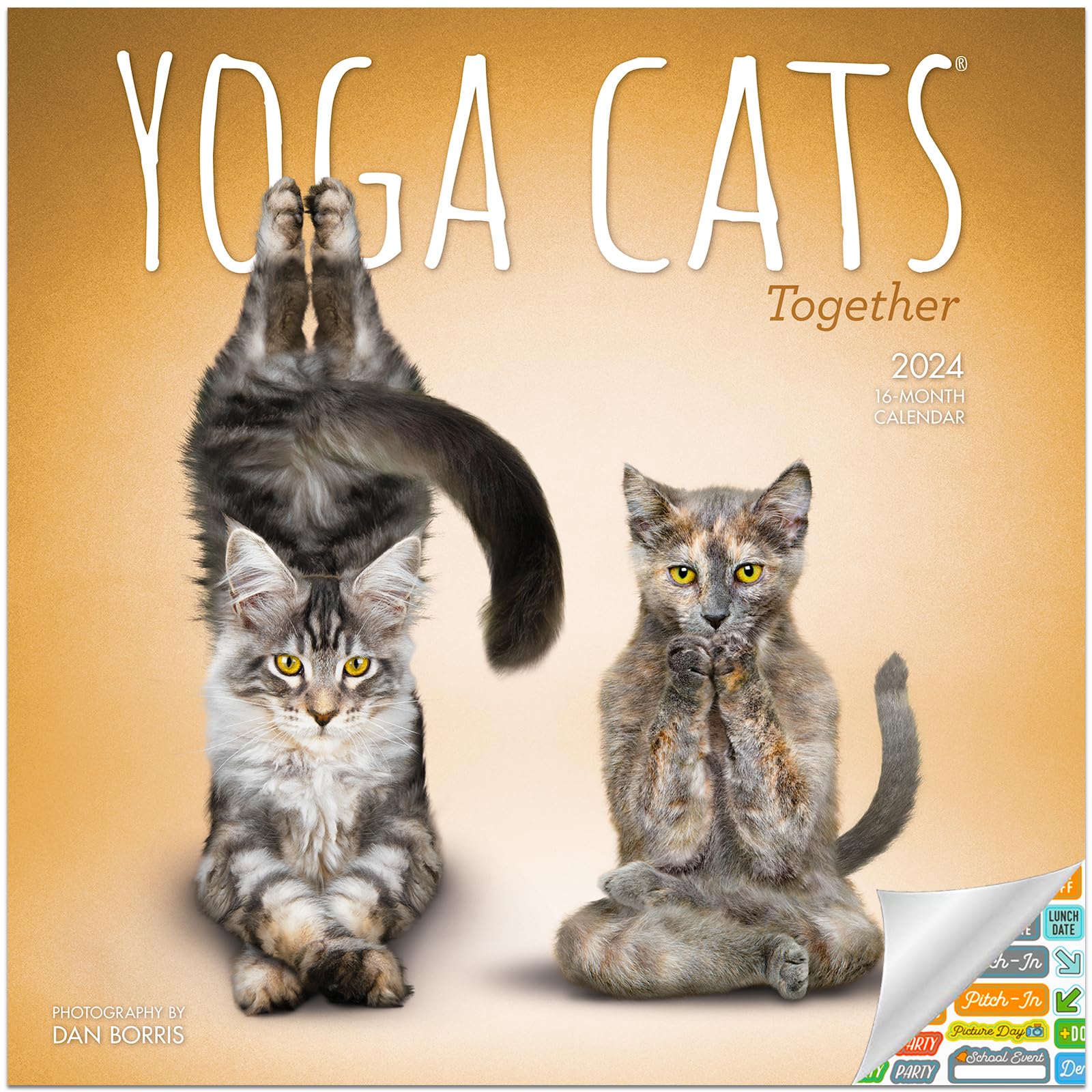 Yoga Cats Together Calendar 2024 - Deluxe 2024 Yoga Cats Wall Calendar Bundle with Over 100 Calendar Stickers (Yoga Cats Gifts, Office Supplies)