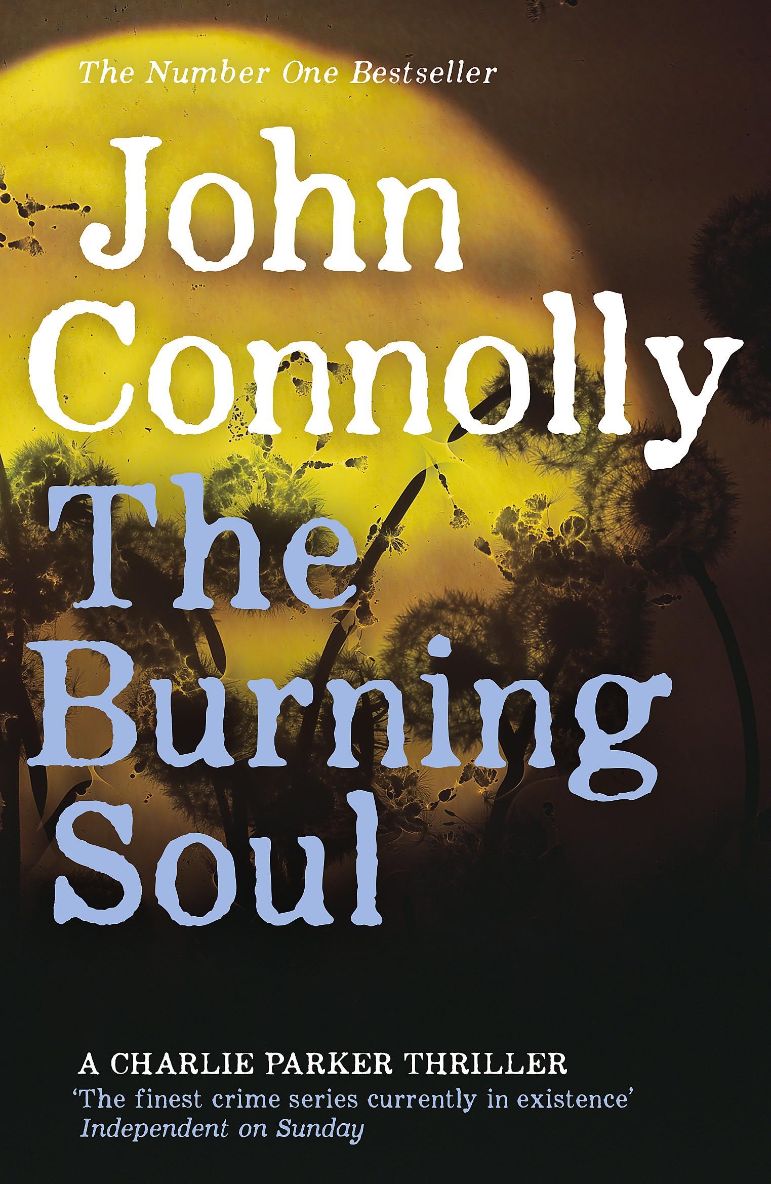 The Burning Soul: A Charlie Parker Thriller: 10