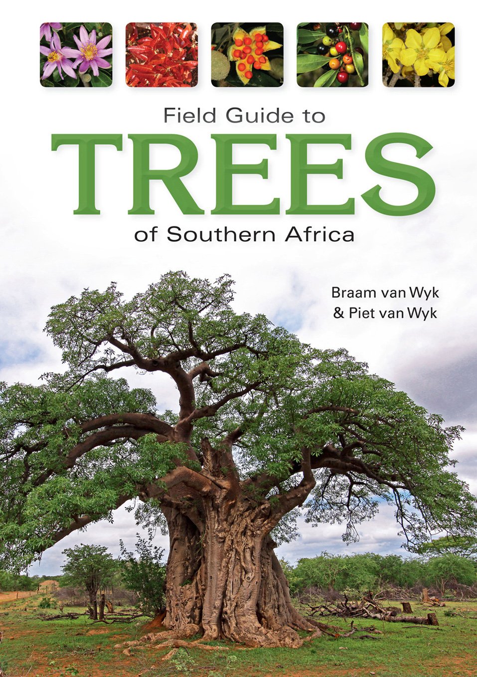 Field guide to trees of Southern Africa