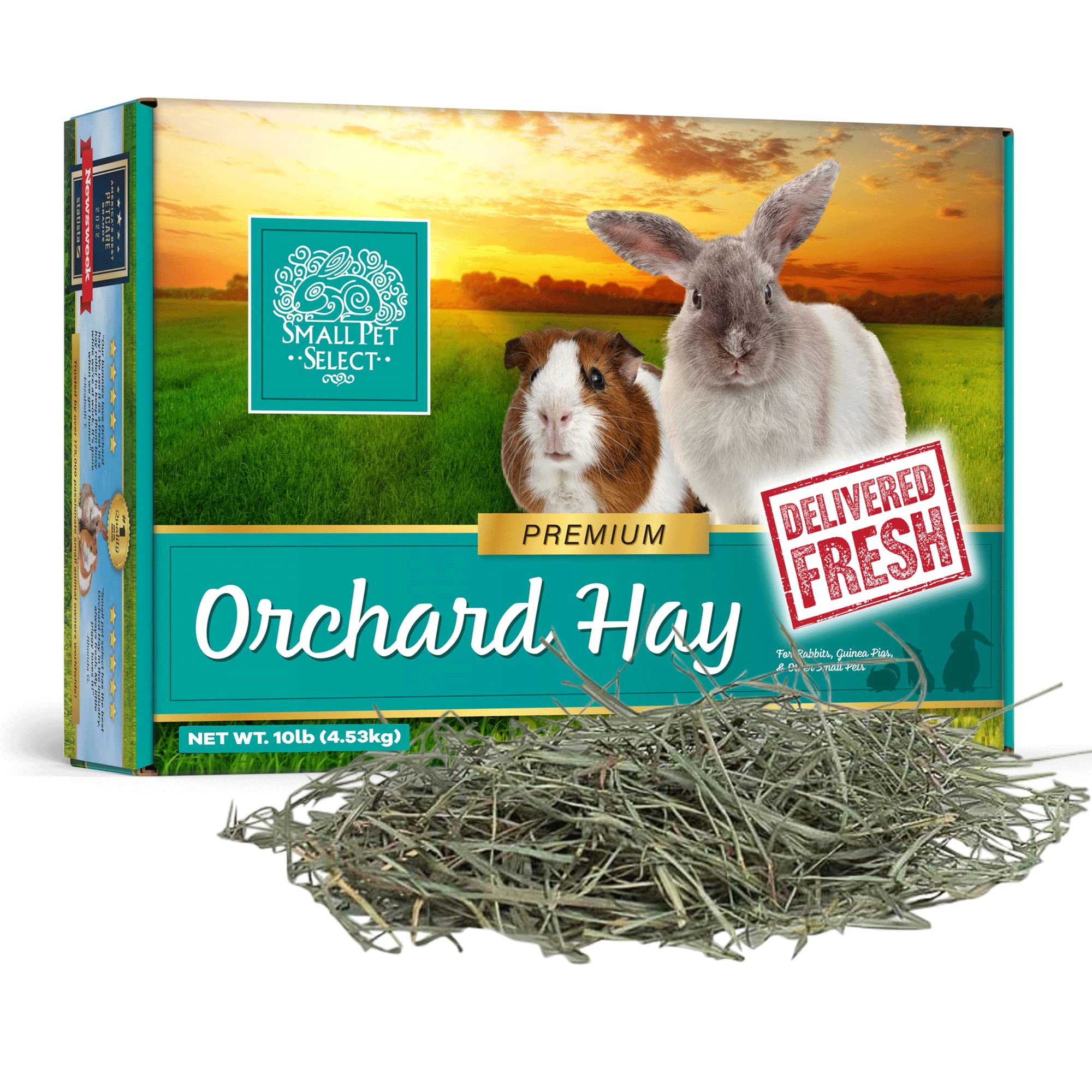 Small Pet Select Orchard Grass Hay Pet Food, 10lb (4.54kg)