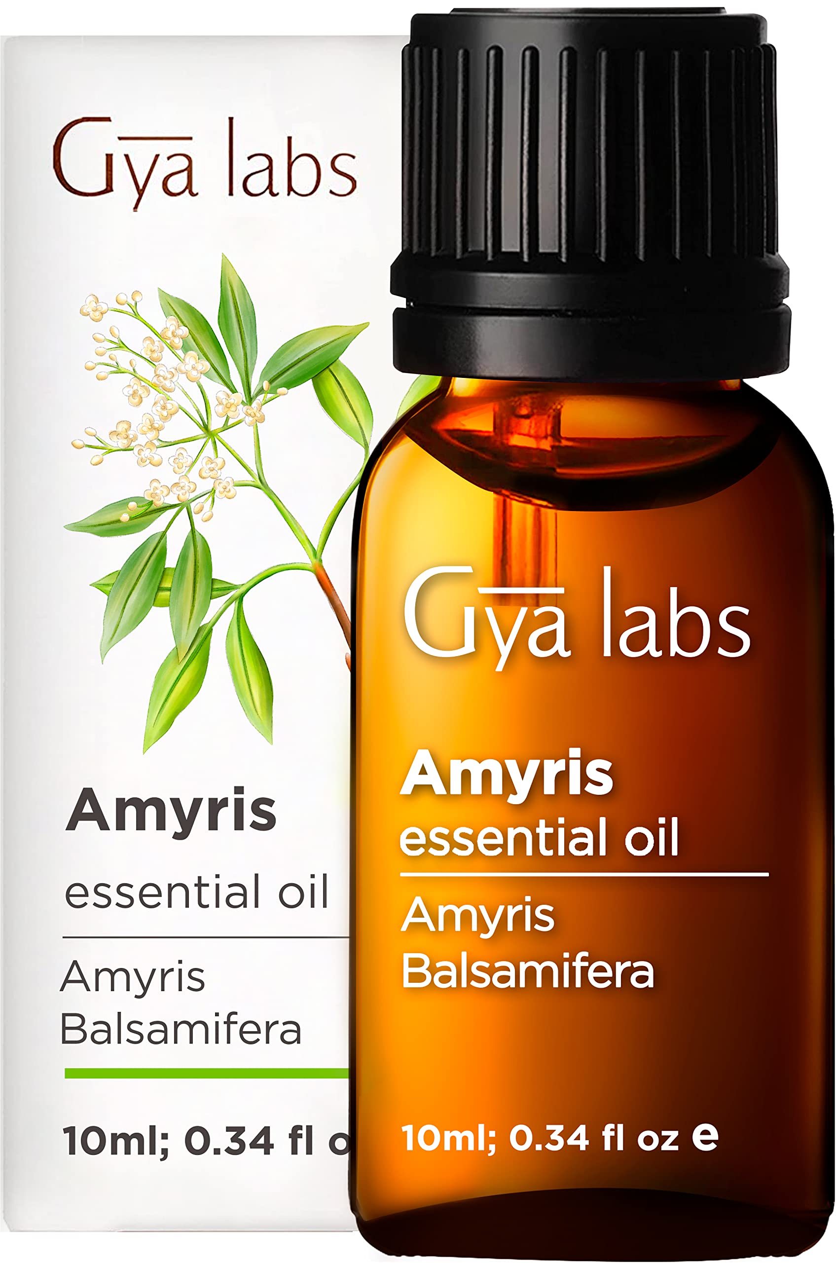 Gya Labs Amyris Essential Oil for Skin - Amyris Essential Oil Diffuser - Amyris Oil for Aromatherapy, Massage, Candles & Soaps - Warm, Earthy & Woody Scent - 100% Natural (0.34 Fl Oz)