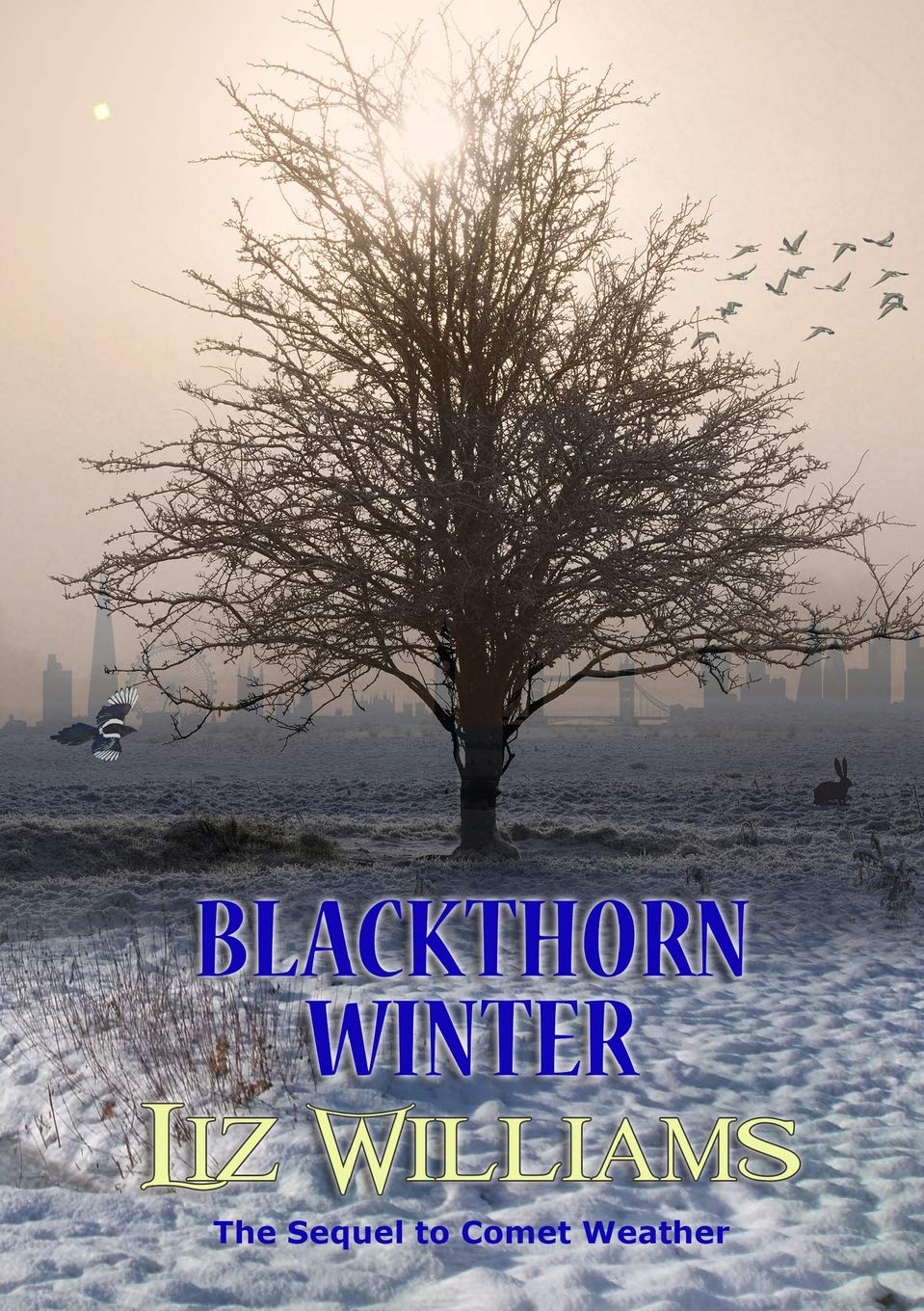 Blackthorn Winter