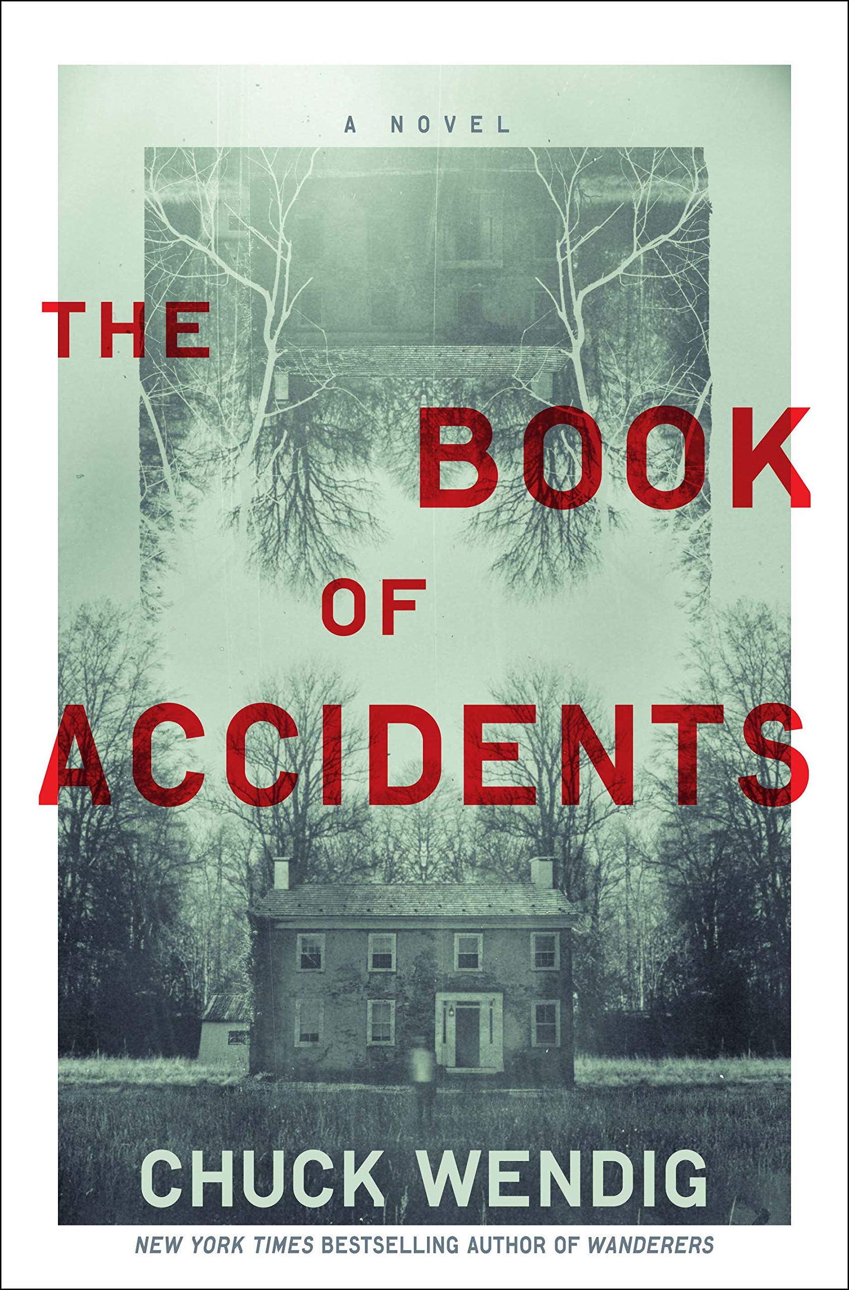 The Book of Accidents: A Novel