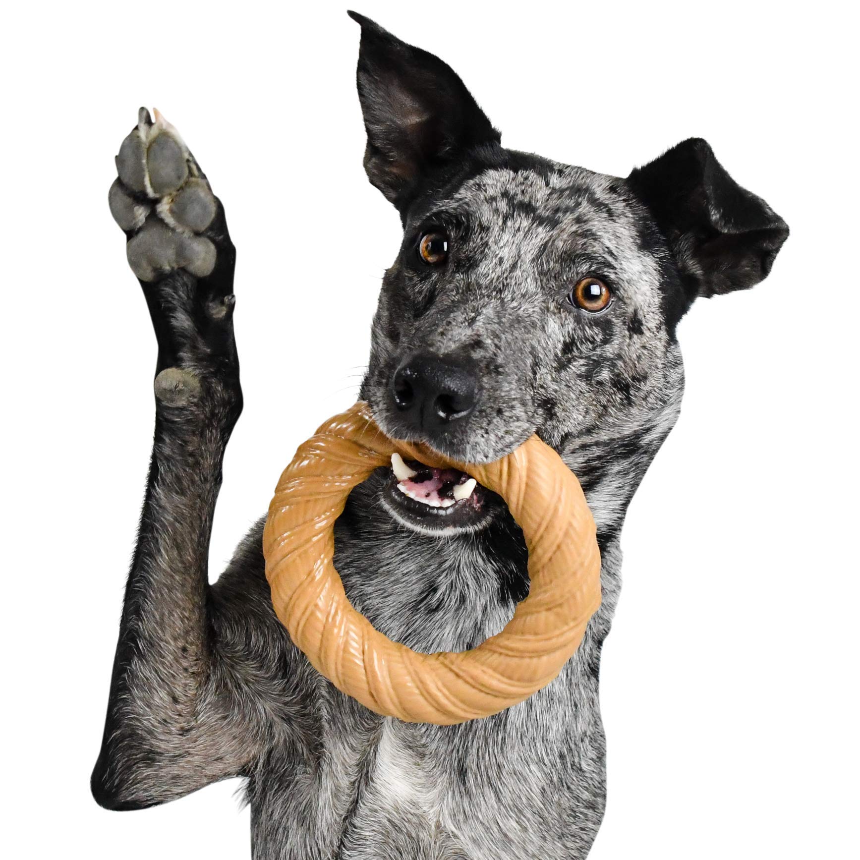 Pet Qwerks BarkBone Chew Ring with Peanut Butter Flavor Dog Chew, Fetch and Tug Toy for Aggressive Chewers, Made in USA – Large