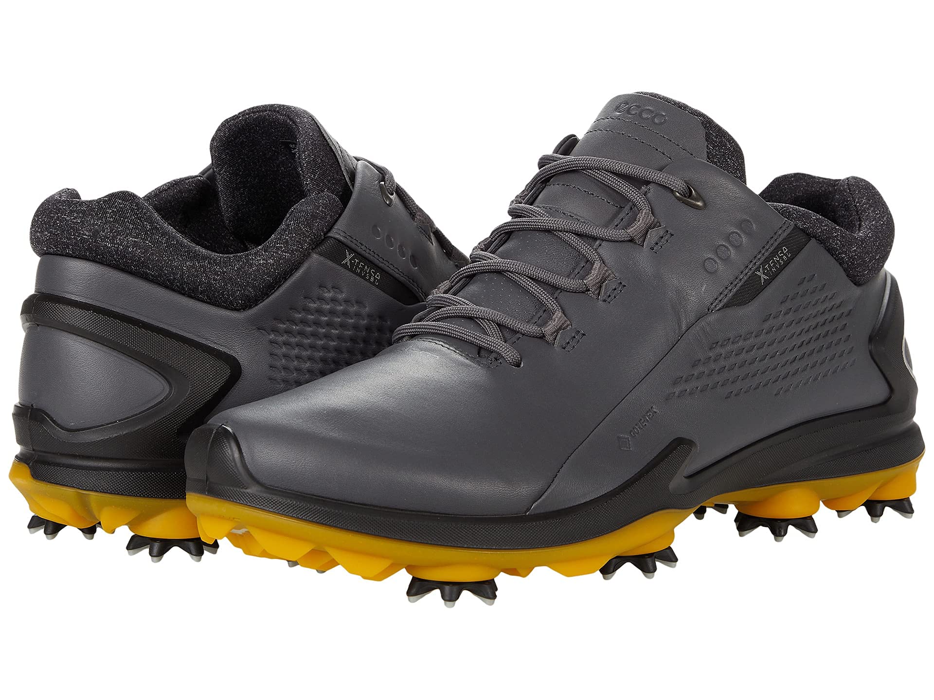 Men's Biom G 3 Gore-Tex Golf Shoe, Magnet, 11-11.5