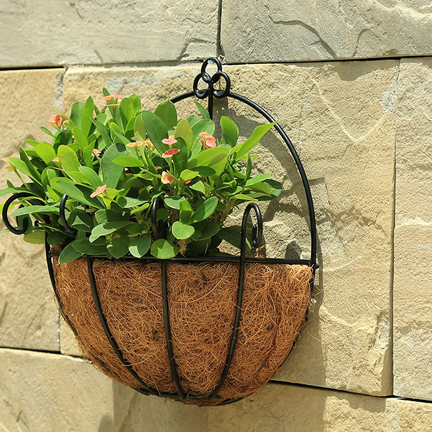 LINGWEI Iron Wall Hanging Planters Basket Half Round Plant Flower Wall Holder with Coco Coir Liner Plant Hanger Decoration for Garden Porch Balcony Indoor Outdoor.