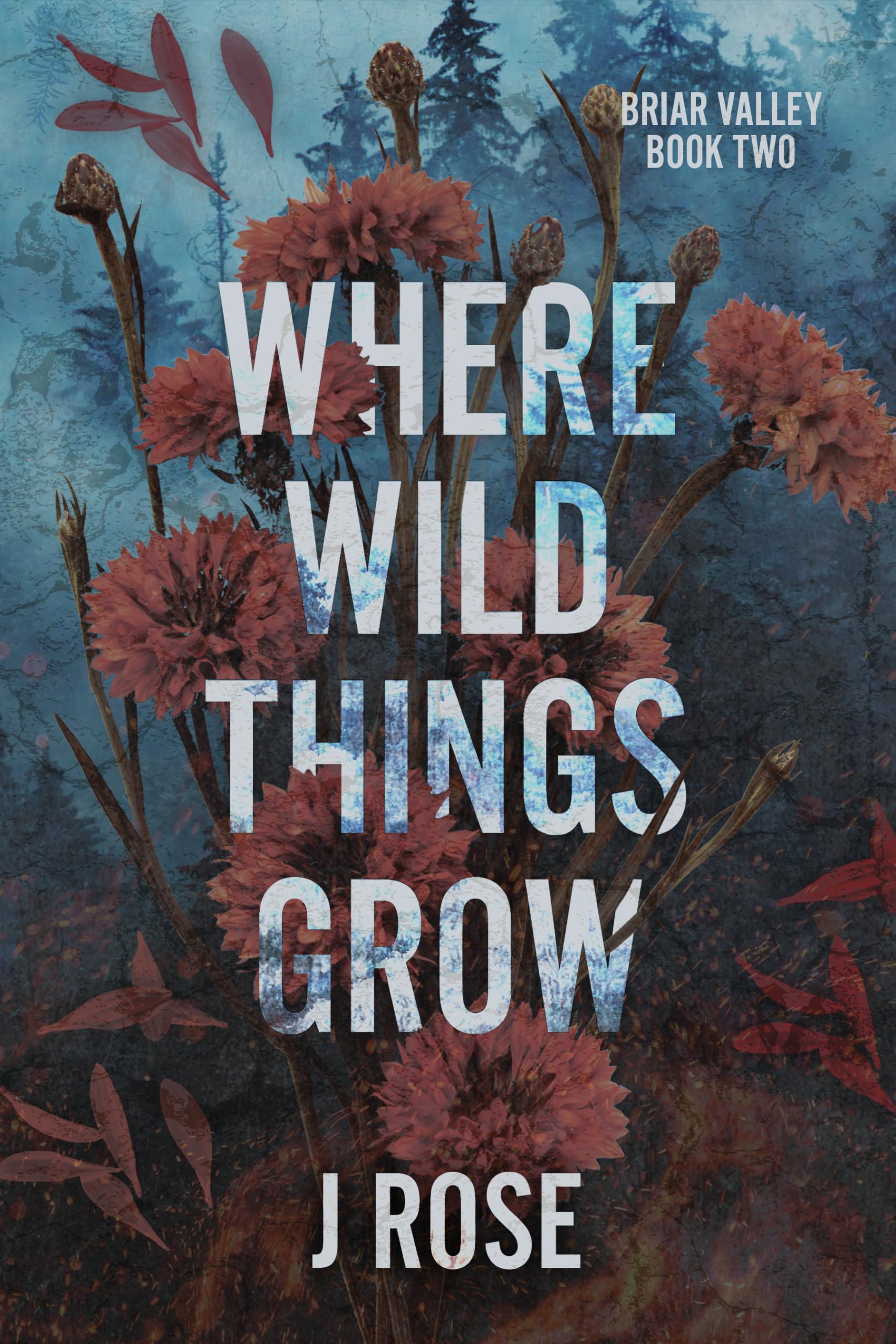 Where Wild Things Grow: A Small Town Reverse Harem Romance (Briar Valley Book 2)