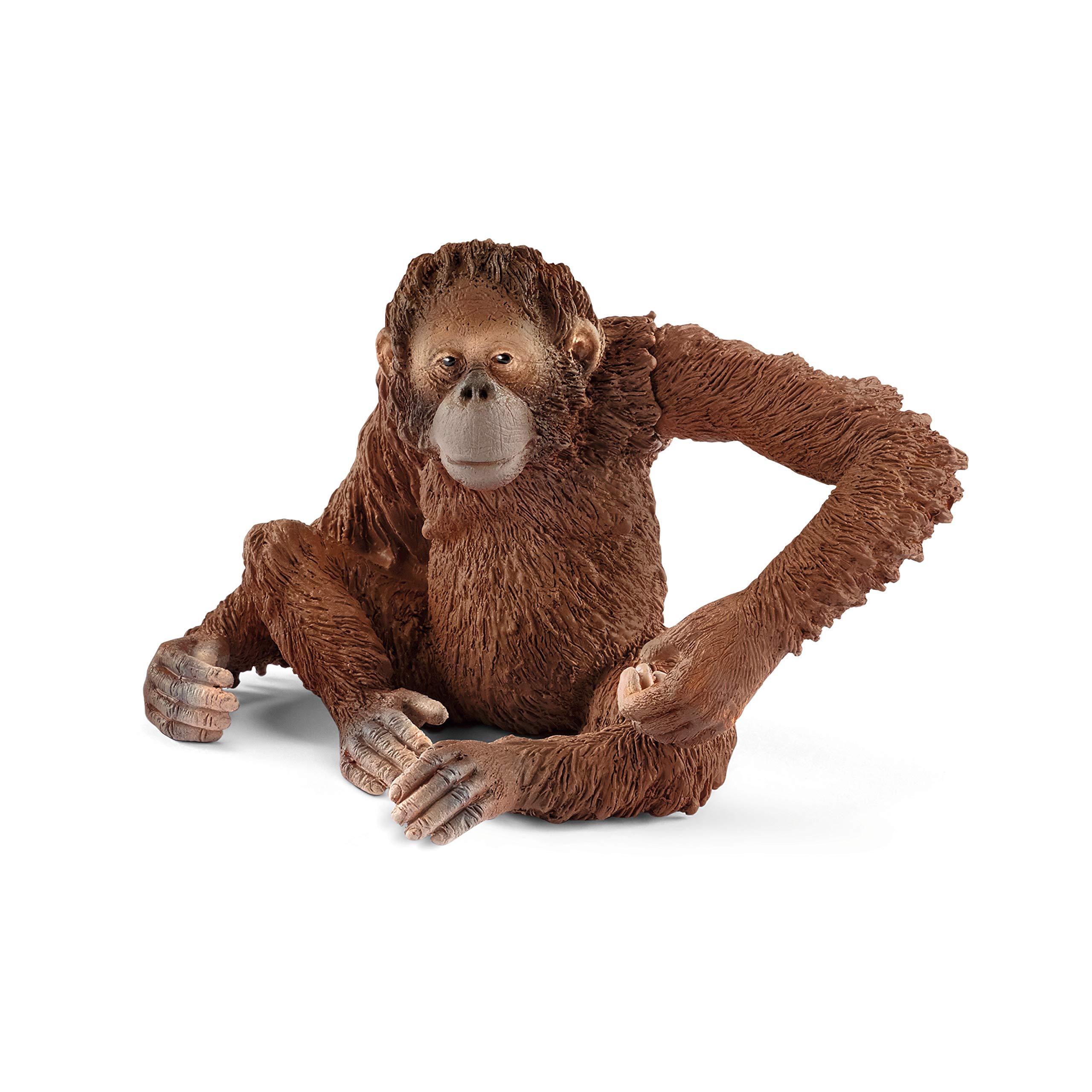 Schleich Wild Life, Animal Figurine, Animal Toys for Boys and Girls 3-8 Years Old, Female Orangutan, Ages 3+