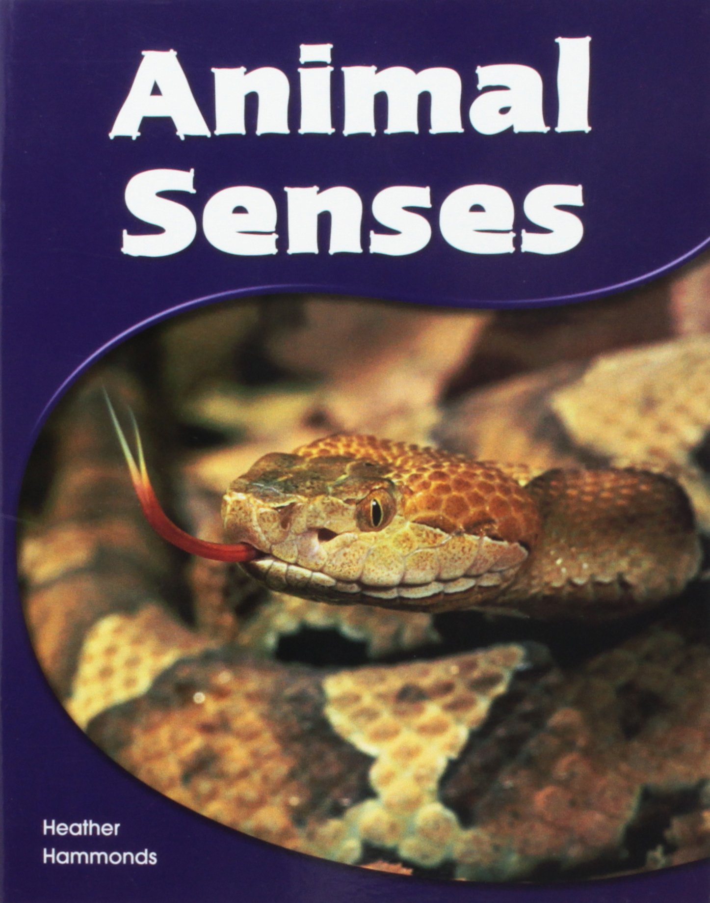 Animal Senses: Leveled Reader (Levels 9-11)