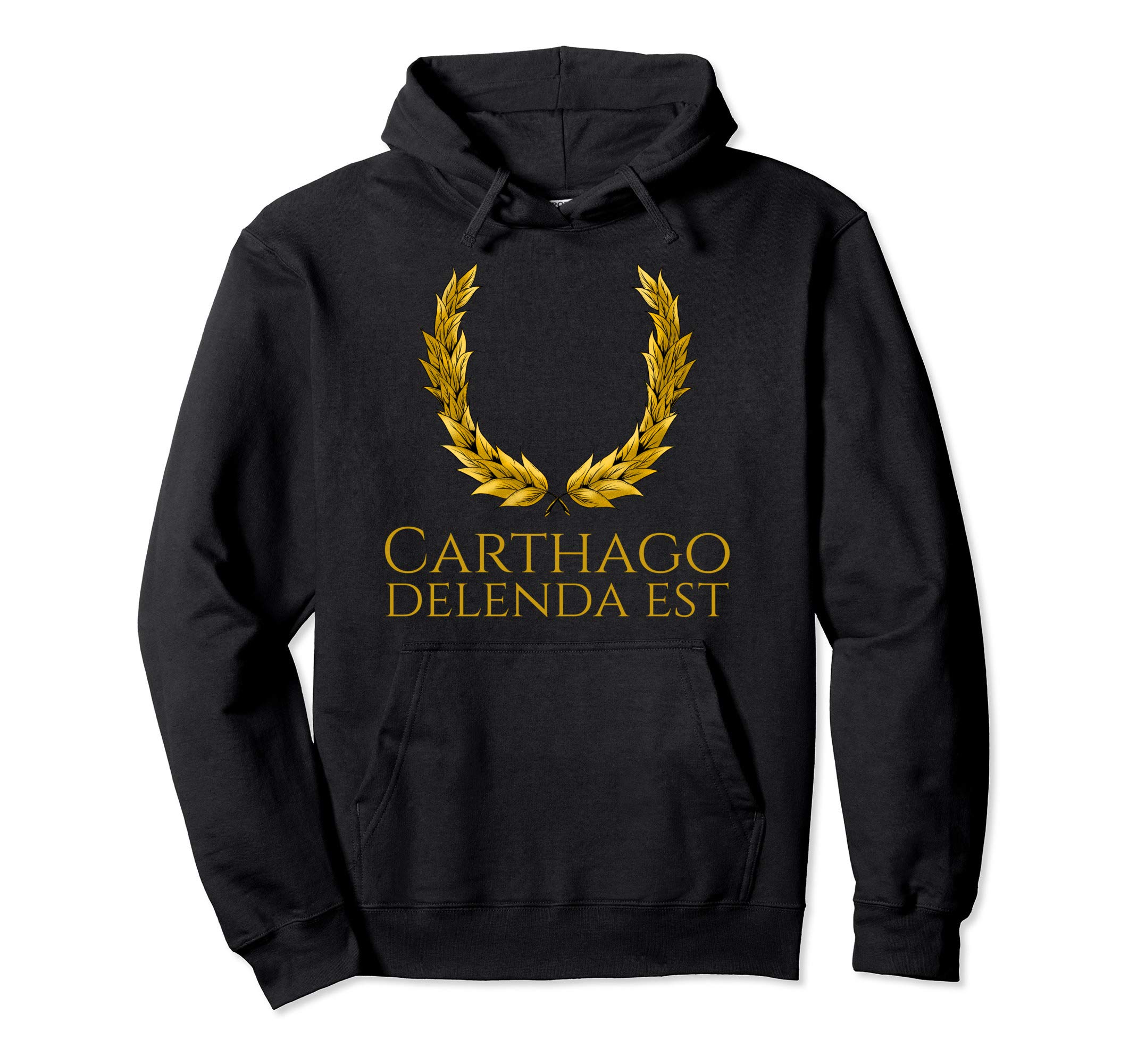 Carthago Delenda Est - History Of Rome Punic Wars Gift Pullover Hoodie