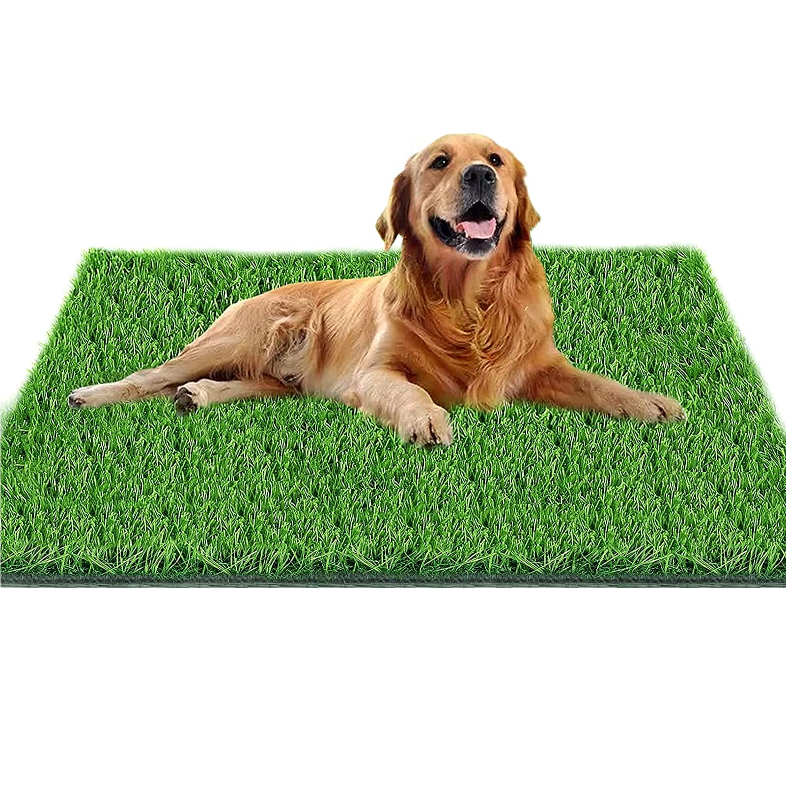 Dog Pee Grass, 51.2in X 31.5in Dog Potty Grass, Artificial Grass for Dogs Suitable for Indoor/Outdoor and Dog Potty Training （Turf Dog Potty Easy to Clean and Use