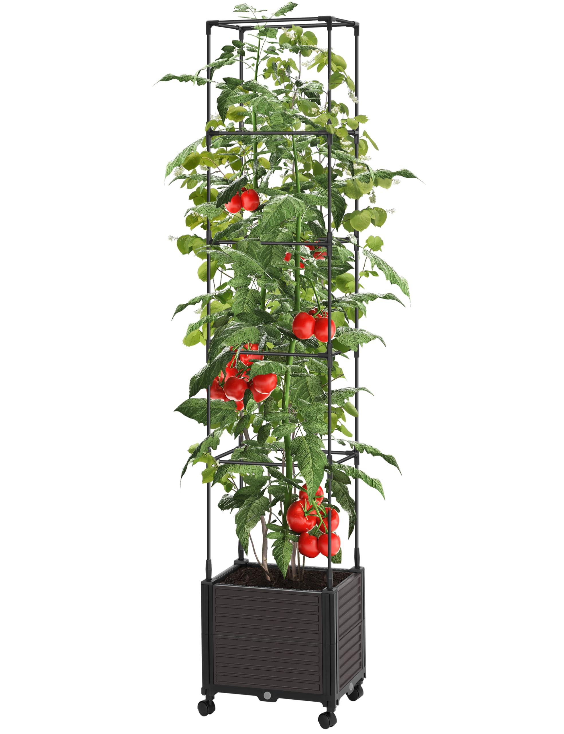 Raised Garden Bed Planter Box with Trellis, 78.7" Self-Watering Climbing Vine Vegetables, Flower, Tomato Cage Planters with Wheels for Indoor Outdoor Patio Greenhouse Gardening