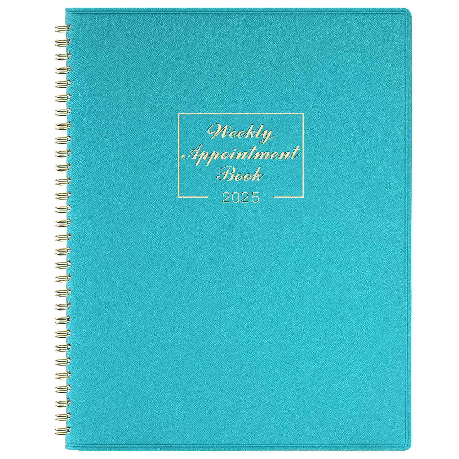 2025 Weekly Appointment Book - JAN 2025 - DEC 2025, Daily Hourly Planner 2025, 8.4" x 10.6", Flexible Soft Cover, Blue, 15-Minute Interval