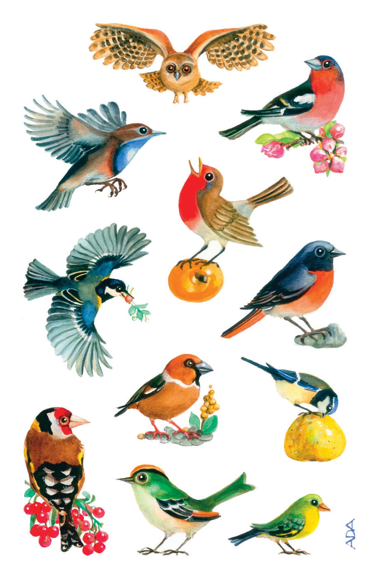 Avery Purposeful Form 54103 Decorative Stickers 33 Aufkleber Colour Combinations