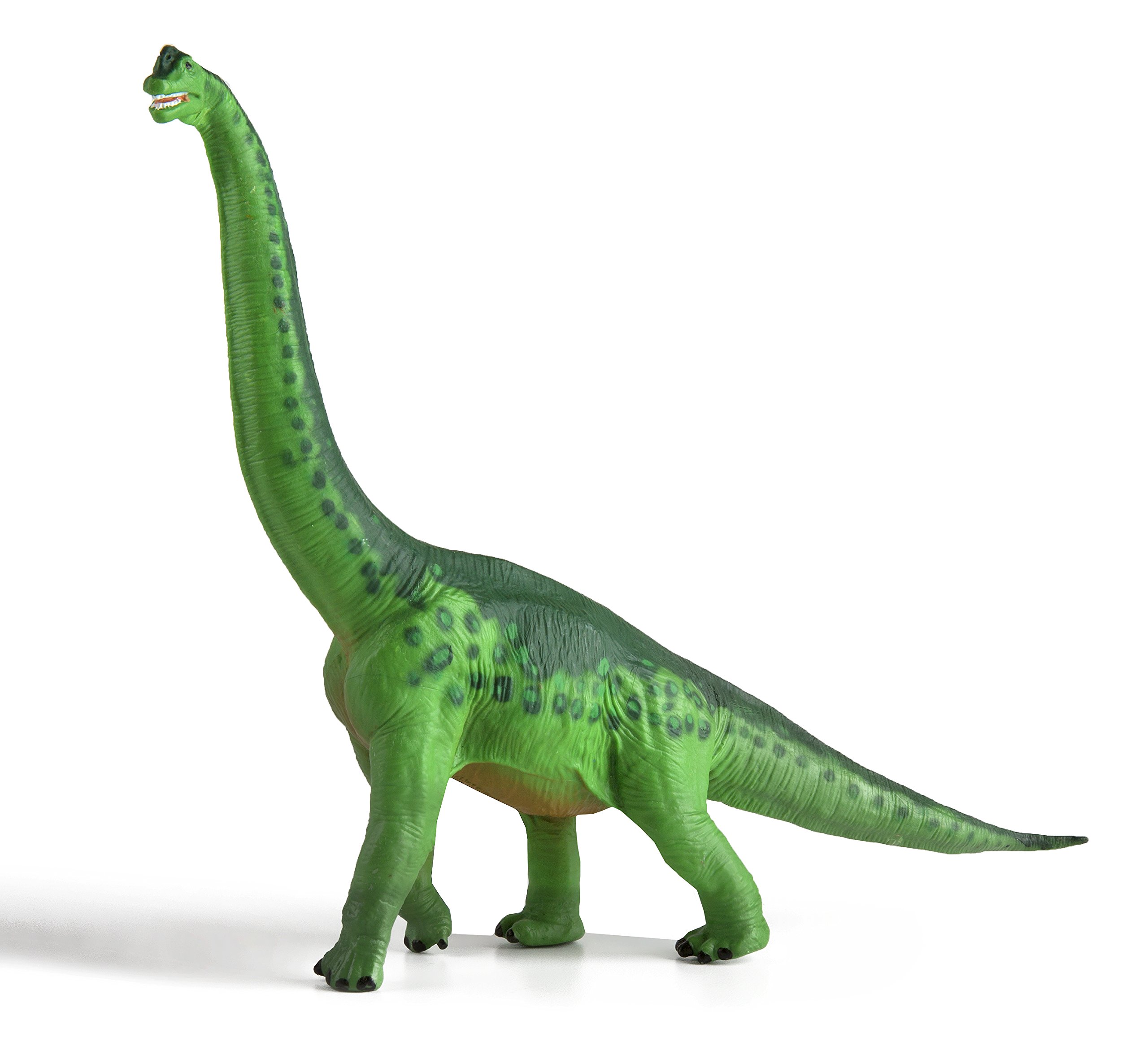 Safari Ltd Brachiosaurus