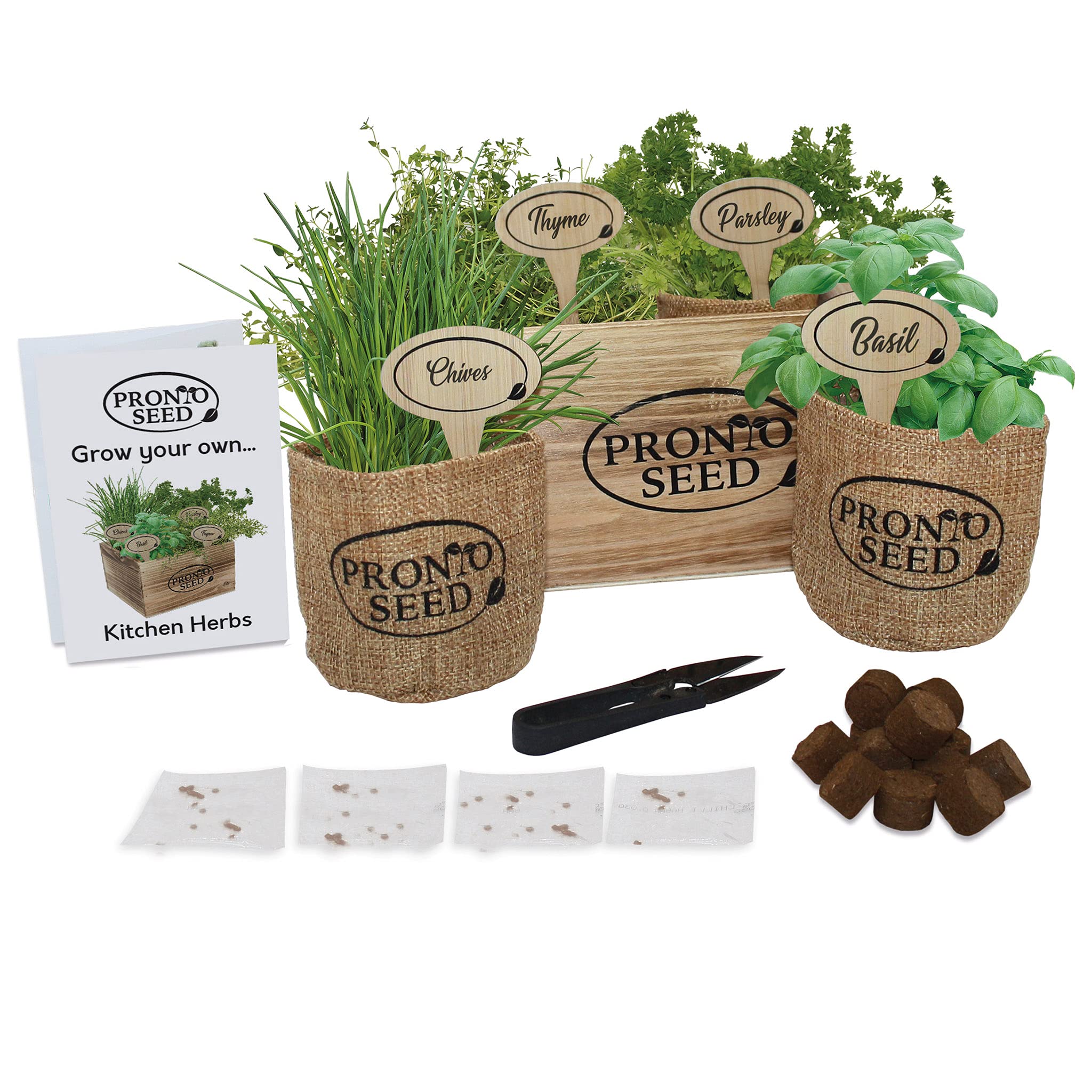 pronto seed Grow Your Own Kitchen Herbs Kit - Contains 4 Seed Varieties (Basil, Thyme, Chives and Parsley). Ideal Gardening Gift for Women and Men Packaged in Reusable Wooden Gift Box