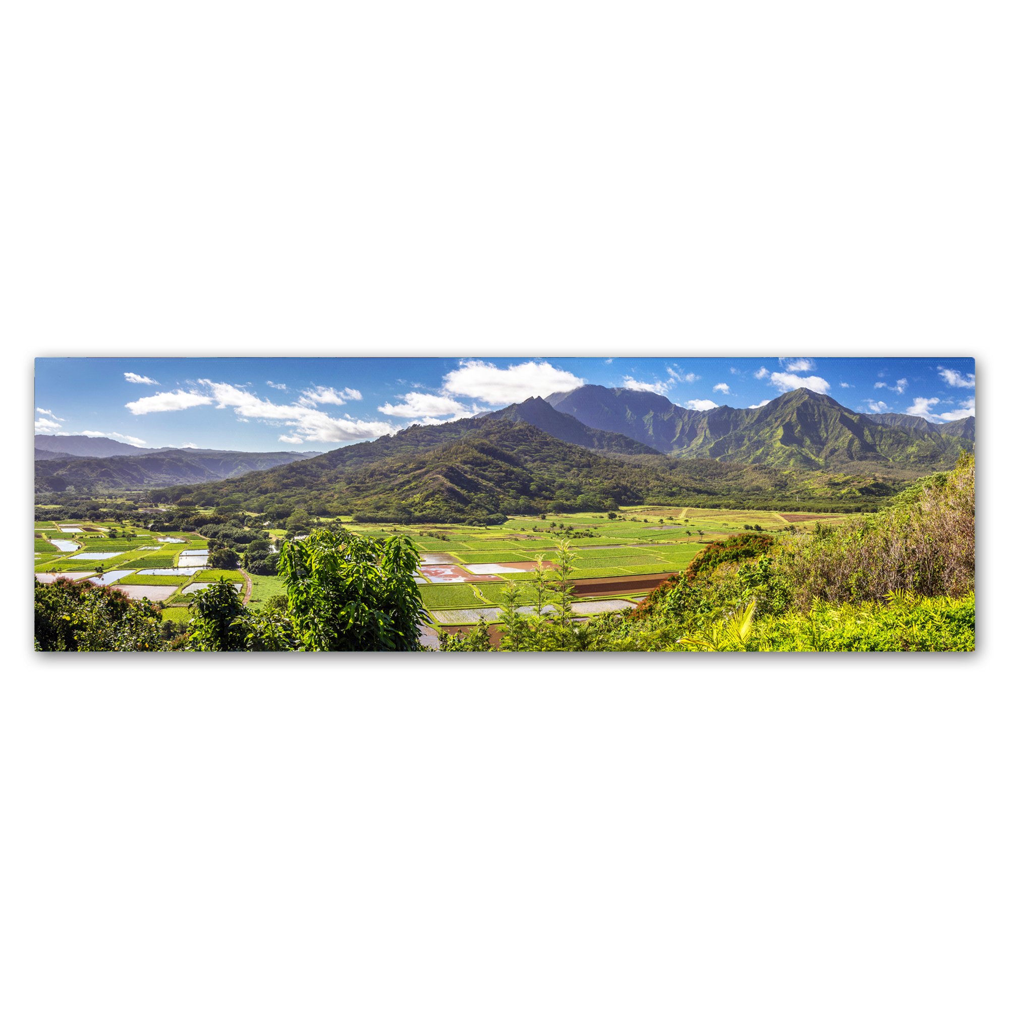 Hanalei Kauai by Pierre Leclerc, 10x32-Inch Canvas Wall Art