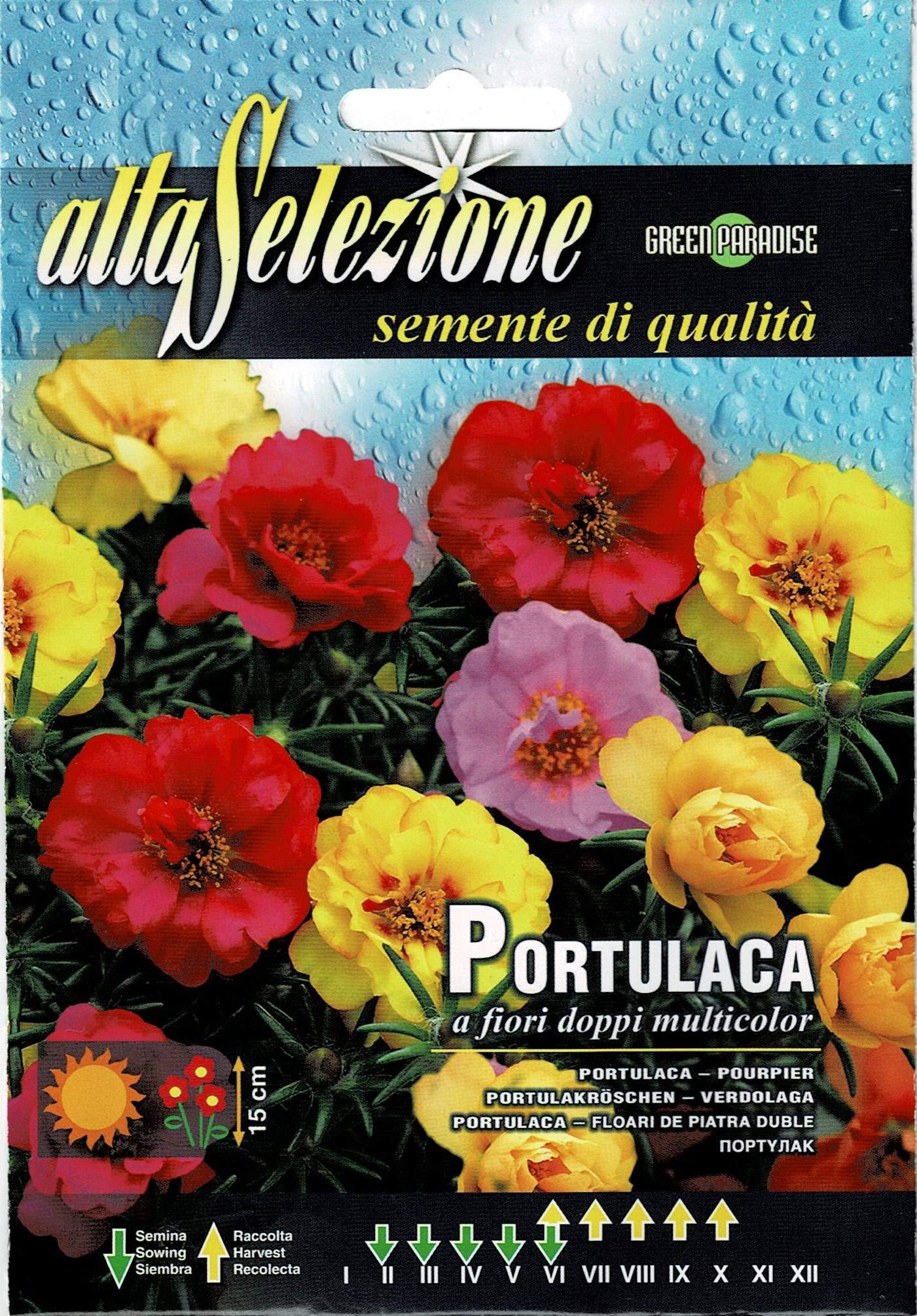 Alta Selezione Portulaca Premium Quality Seeds