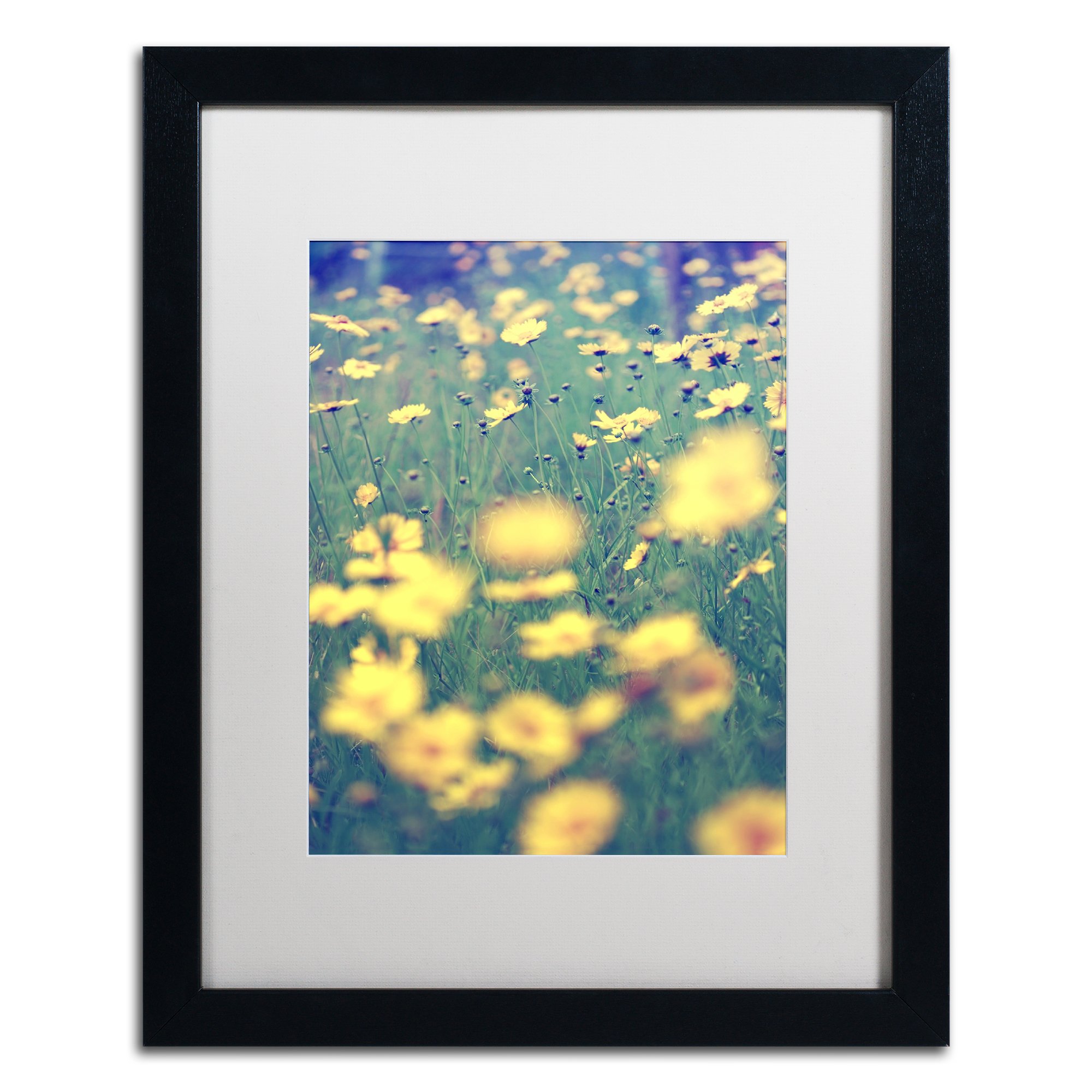 Field of Dreams by Beata Czyzowska Young White Matte and Black Frame, 16 by 20-Inch