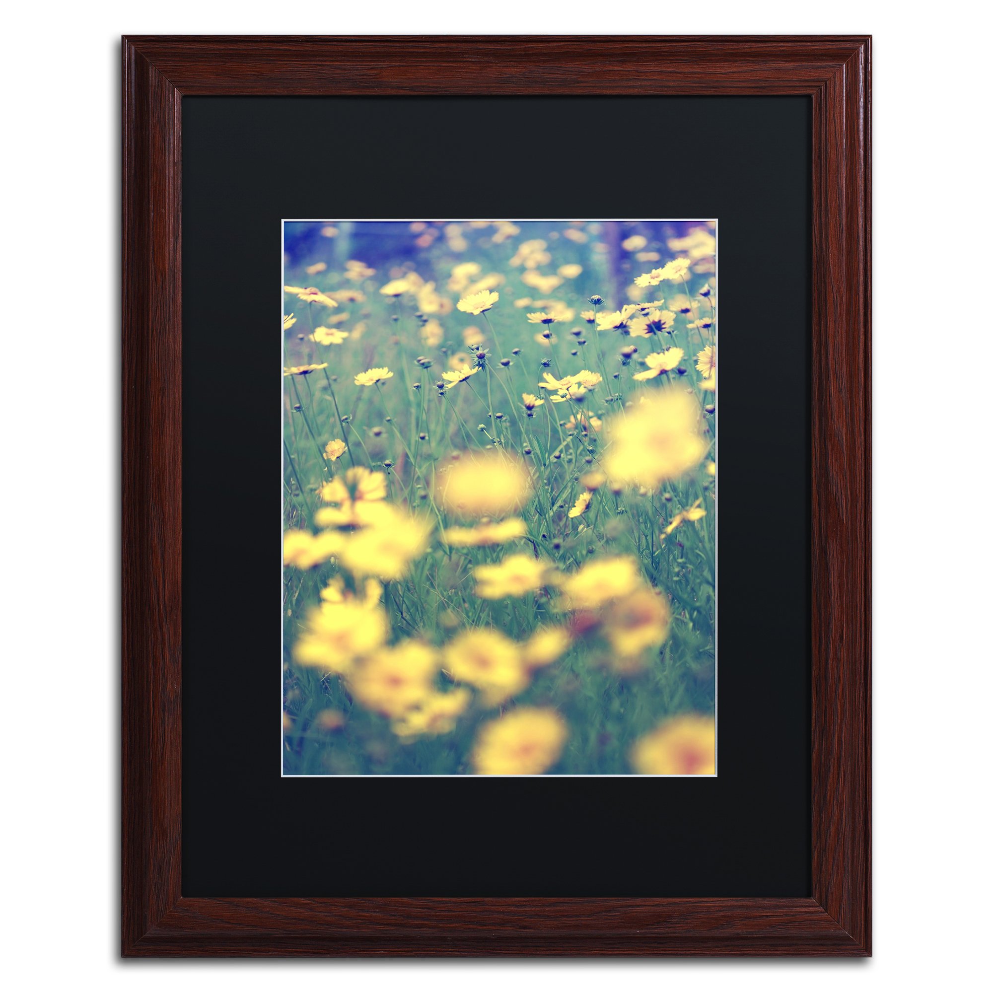 Field of Dreams by Beata Czyzowska Young Black Matte and Wood Frame, 16 by 20-Inch