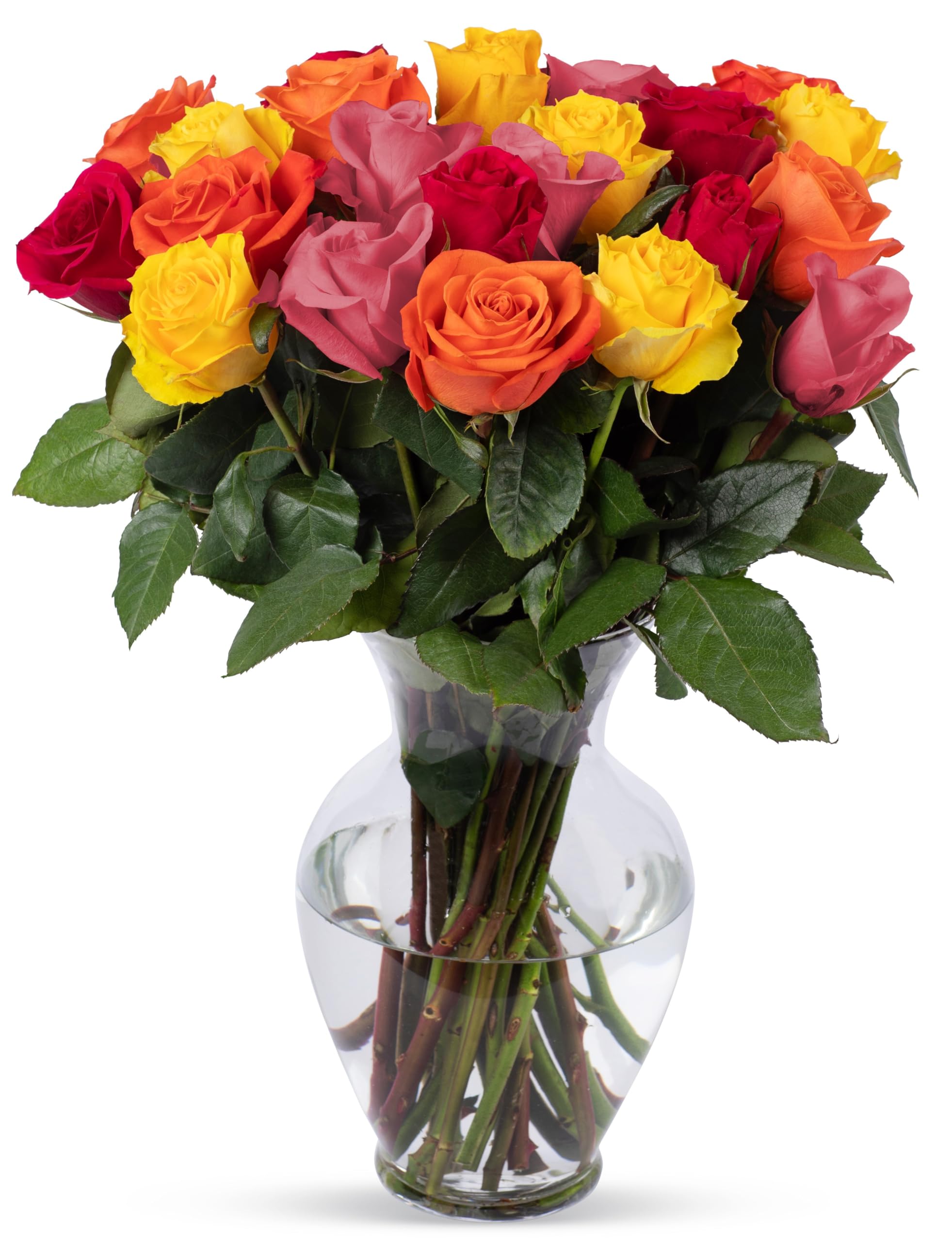 Benchmark Bouquets, 24 Stem Rainbow Roses, Glass Vase Included, Gift Fresh Flowers for Birthday, Anniversary, Get Well, Sympathy, Congratulations, Thank You, Just Because