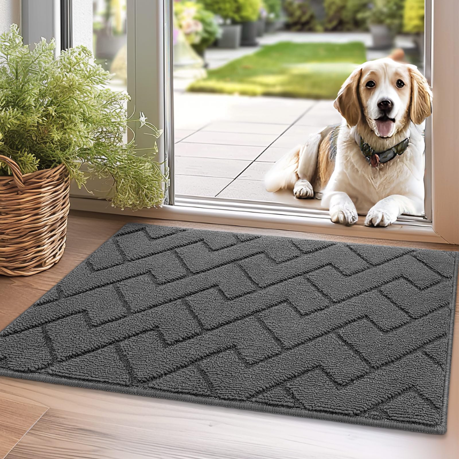 Biscpro Door Mats Indoor, Dirt Trapper Mat Absorbent Non-Slip Low Profile Doormat for Entrance, Inside, Kitchen, Front Door Mat Washable for Pets and Dogs— 50x80 cm, Grey