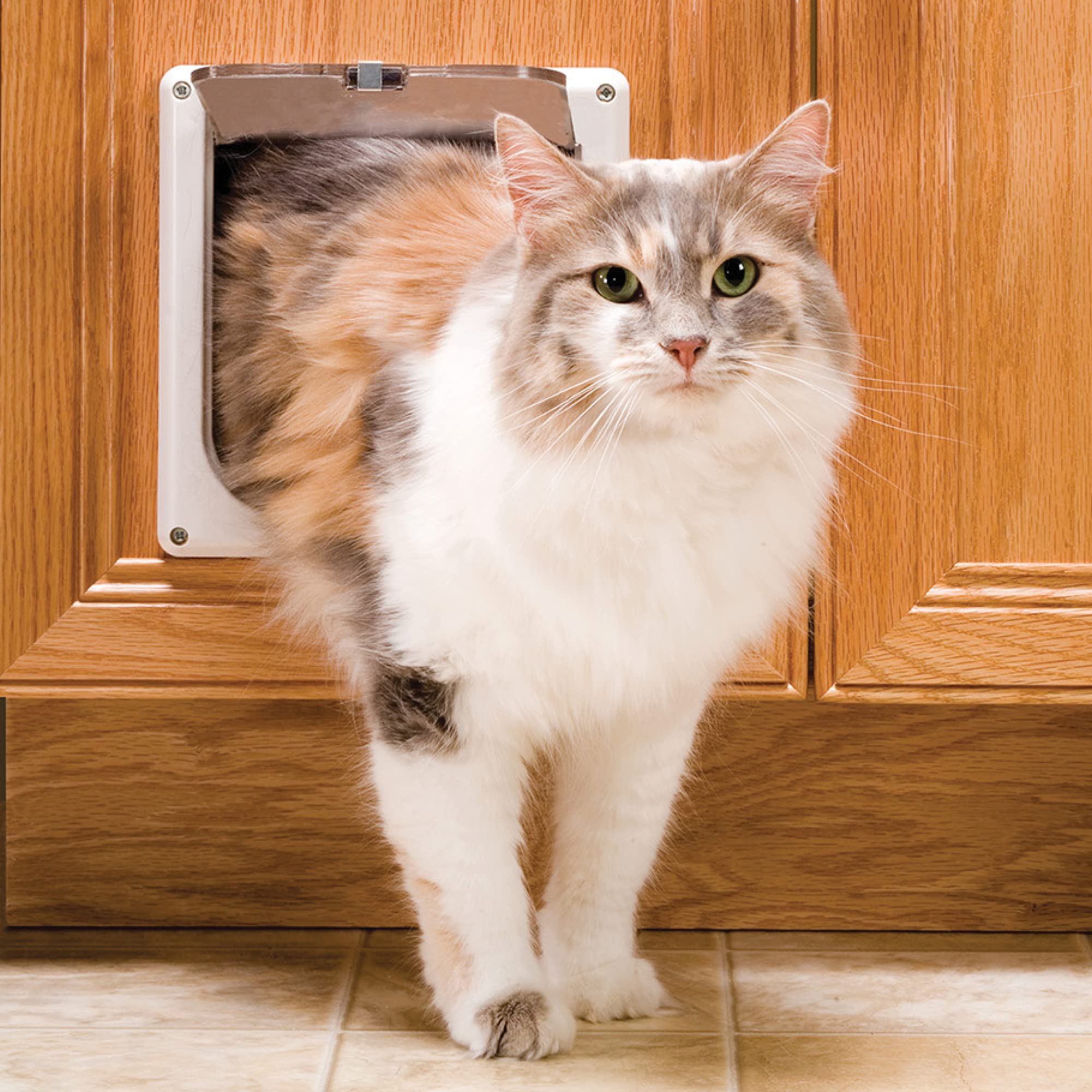 PetSafeInterior Cat Door: 2-Way Locking, Indoor Pet Door Flap - Tinted Privacy Door for Cat Litter Box or Pet Feeder, Built-In Door Lock, Durable Door Frame, DIY Easy Install, Hardware Kit Included