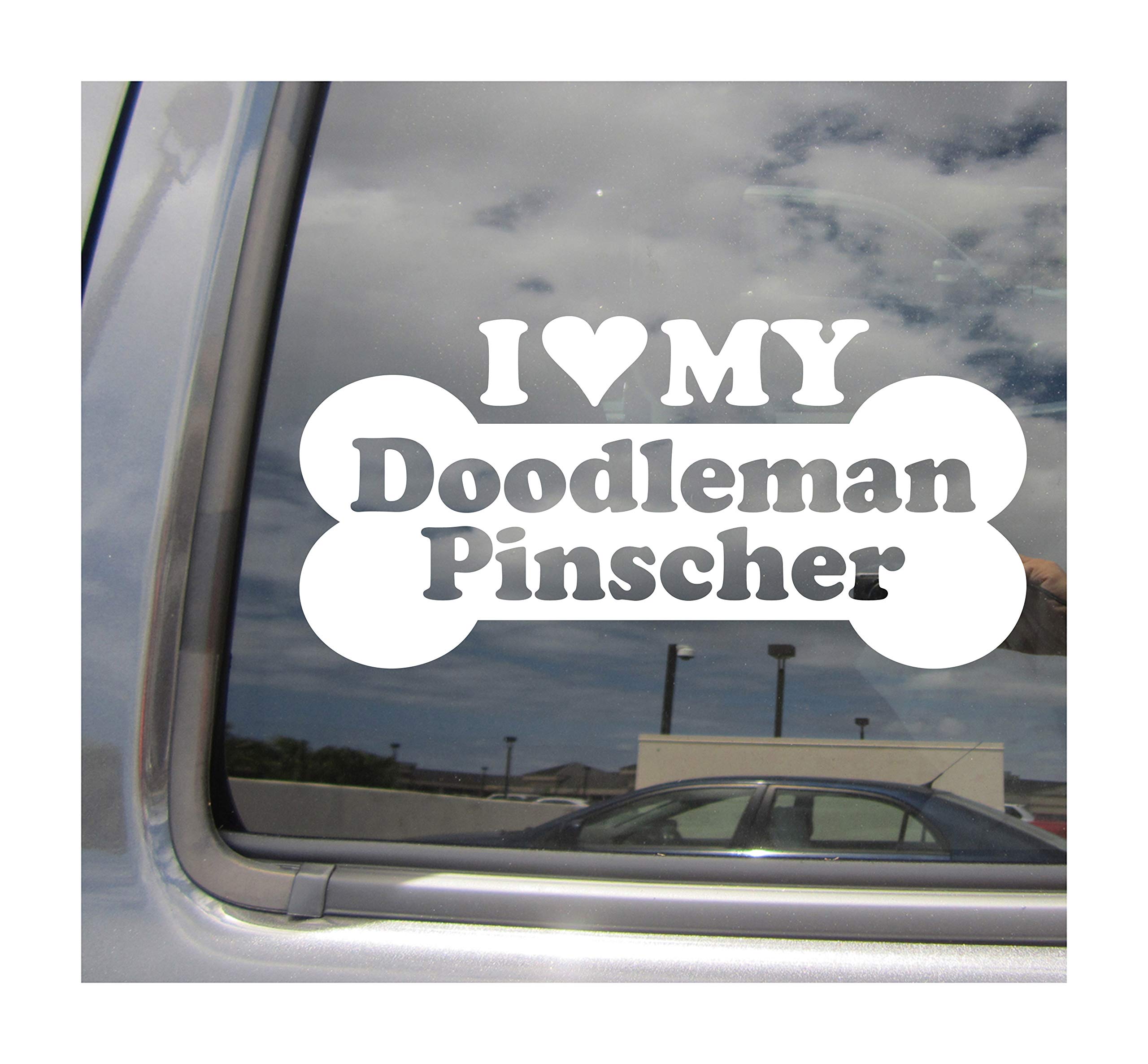 I Heart Love My Doodleman Pinscher - Dog Bone Poodle Doberman Designer Mixed Hybrid Breed Cars Trucks Moped Helmet Surfboard Auto Automotive Craft Laptop Vinyl Decal Store Window Wall Sticker 13769