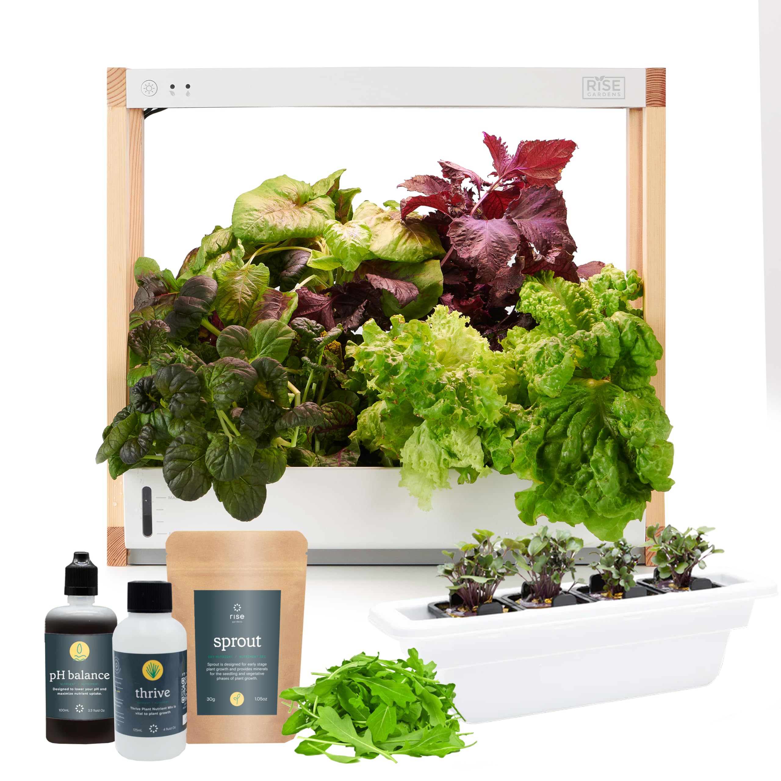 Rise Gardens Personal Rise Garden Hydroponic Indoor Garden Kit with LED Grow Light, Countertop Size