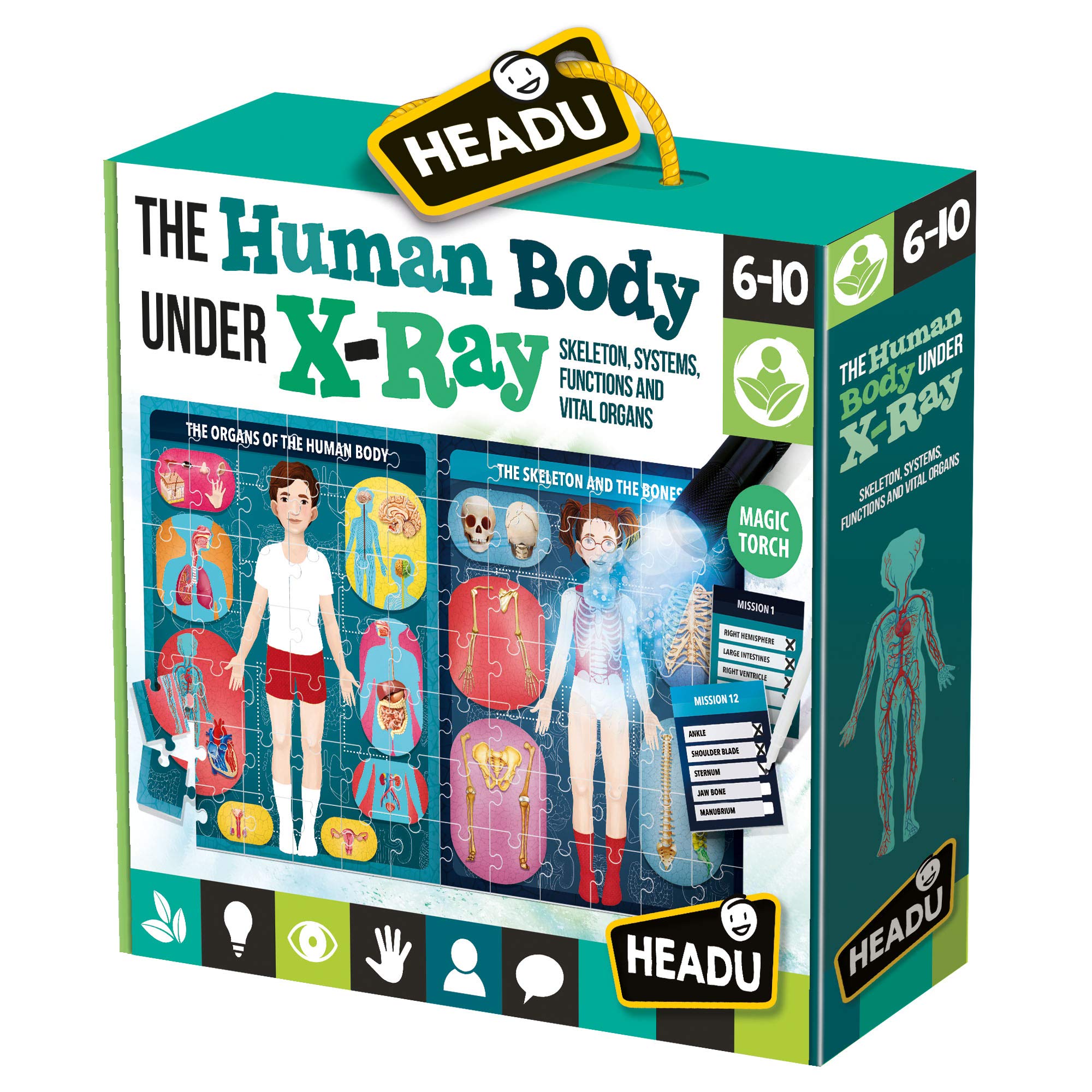 Headu | The Human Body Under X-Ray - assemble the puzzle and learn about the human body | Educational Games & Puzzles | Ages 6-10 years