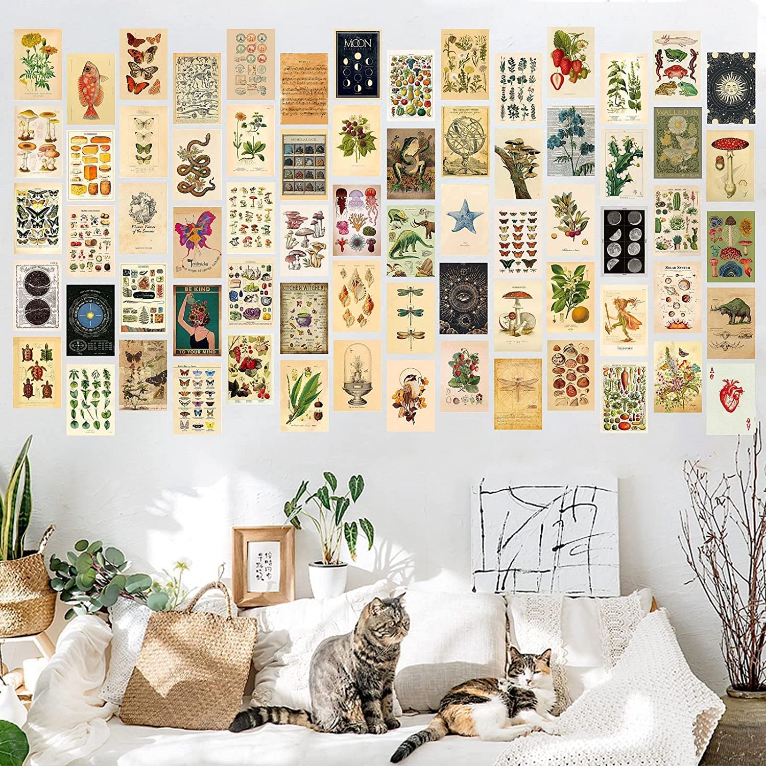 Vintage Wall Collage Kit Aesthetic Pictures, 70PCS Posters for Room Aesthetic, Cute Dorm Photo Wall Decor for Teen Girls, Botanical Wall Art, Printed Wall Sticker Decorative Aesthetics Warm Beige Card