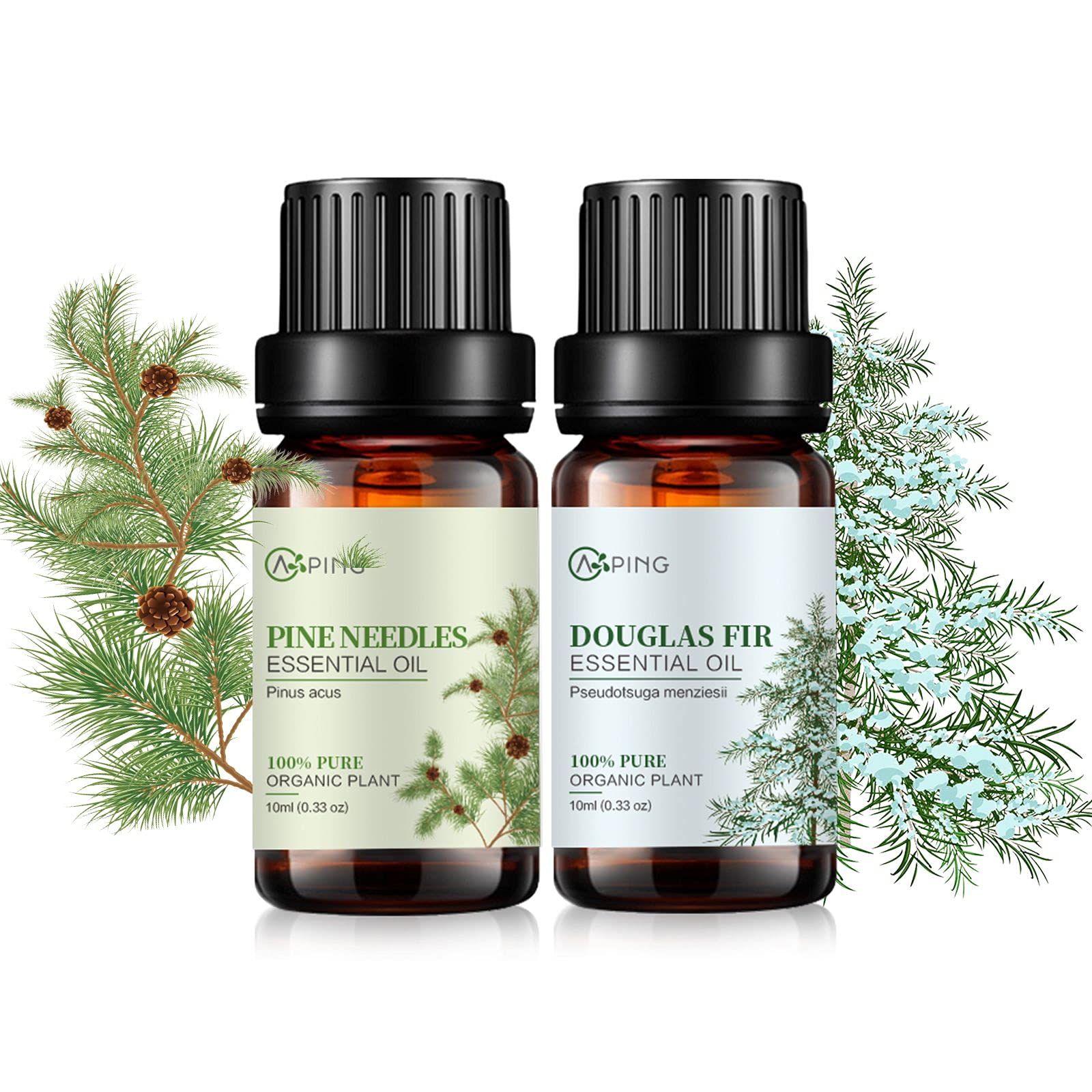 Pine Needles & Douglas Fir Essential Oils - 100% Pure Organic Natural Plant Oils for Diffuser, Aroma, Spa, Massage, Yoga, Perfume, 2x10ML