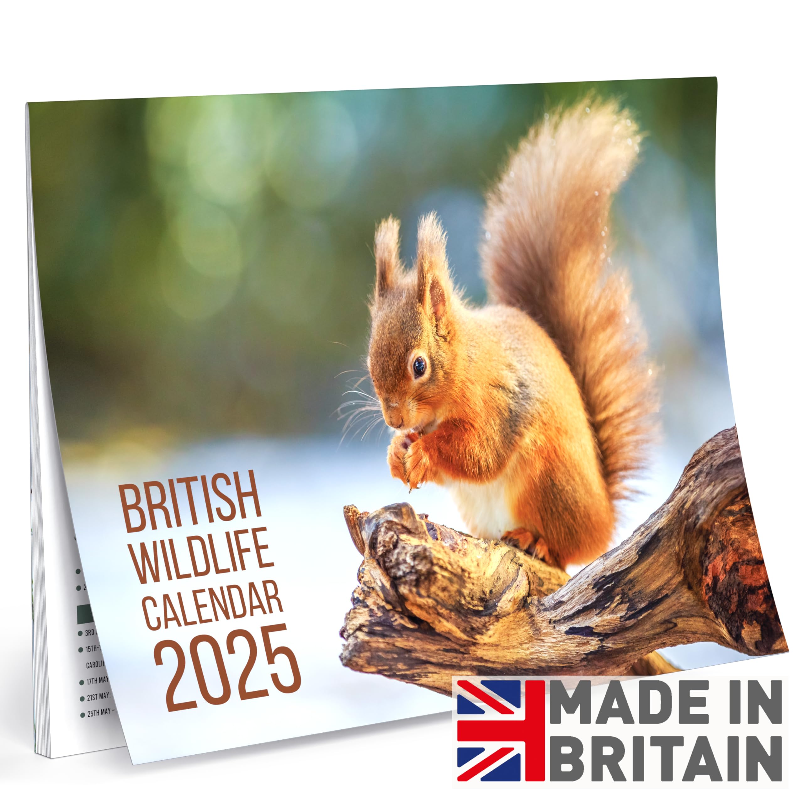 Calendar 2025 British Wildlife Calendar - UK Wildlife Calendar - A3 Month to View Features 12 High Resolution Images (2025)