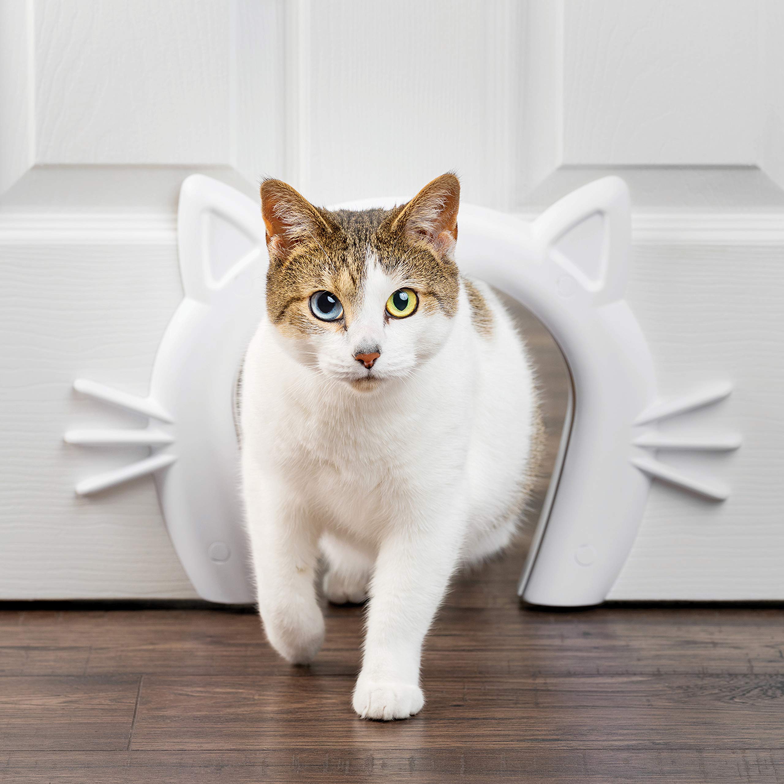 PetSafe Never Rust Indoor Cat Door - for Interior Doors - Adds Privacy, Keeps Dogs Out of Cat's Space, Food and Litter Box - for Cats Up to 20lb - Durable and Easy to Install - Made in USA