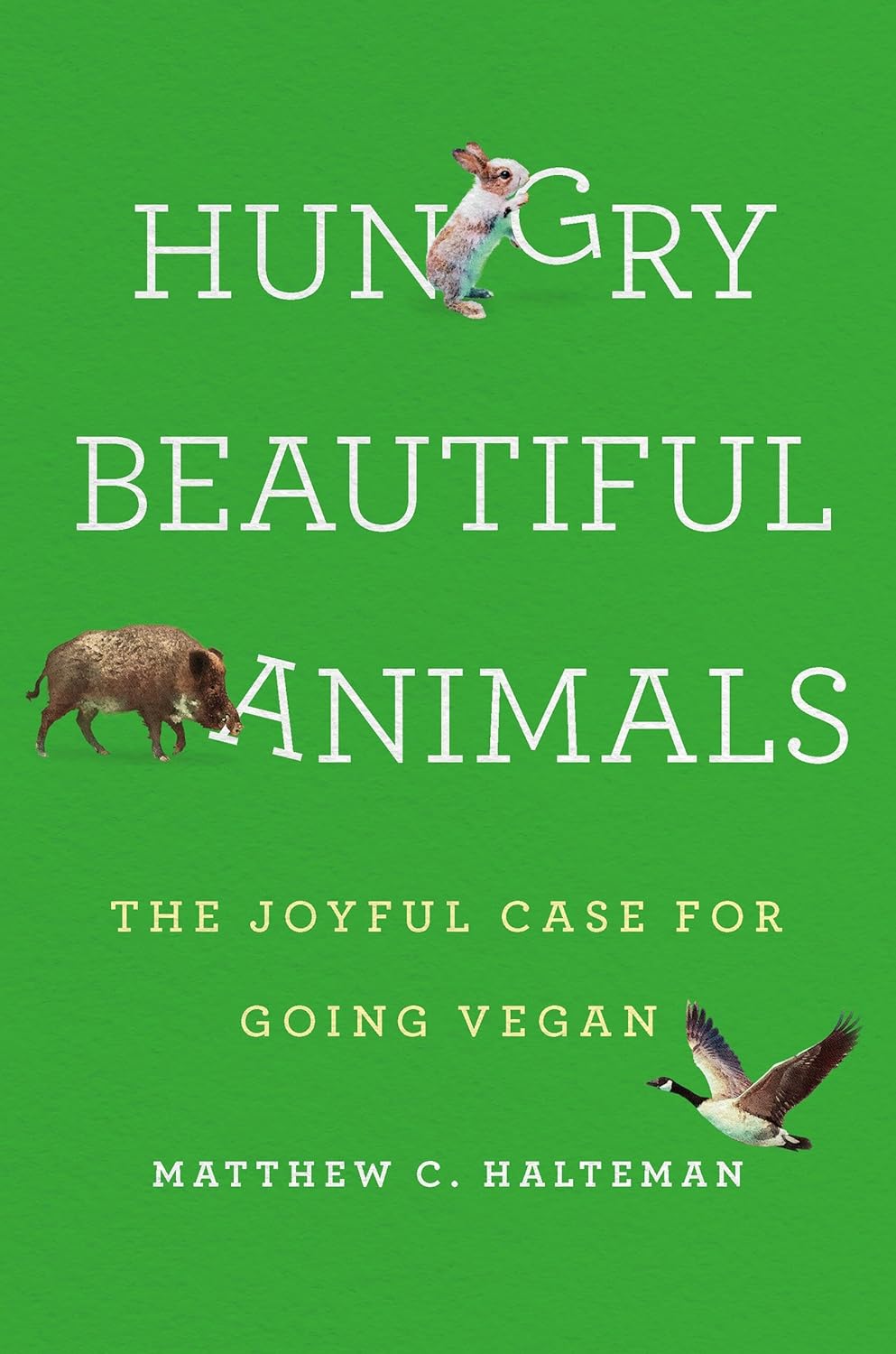 Beautiful Animals Book cover