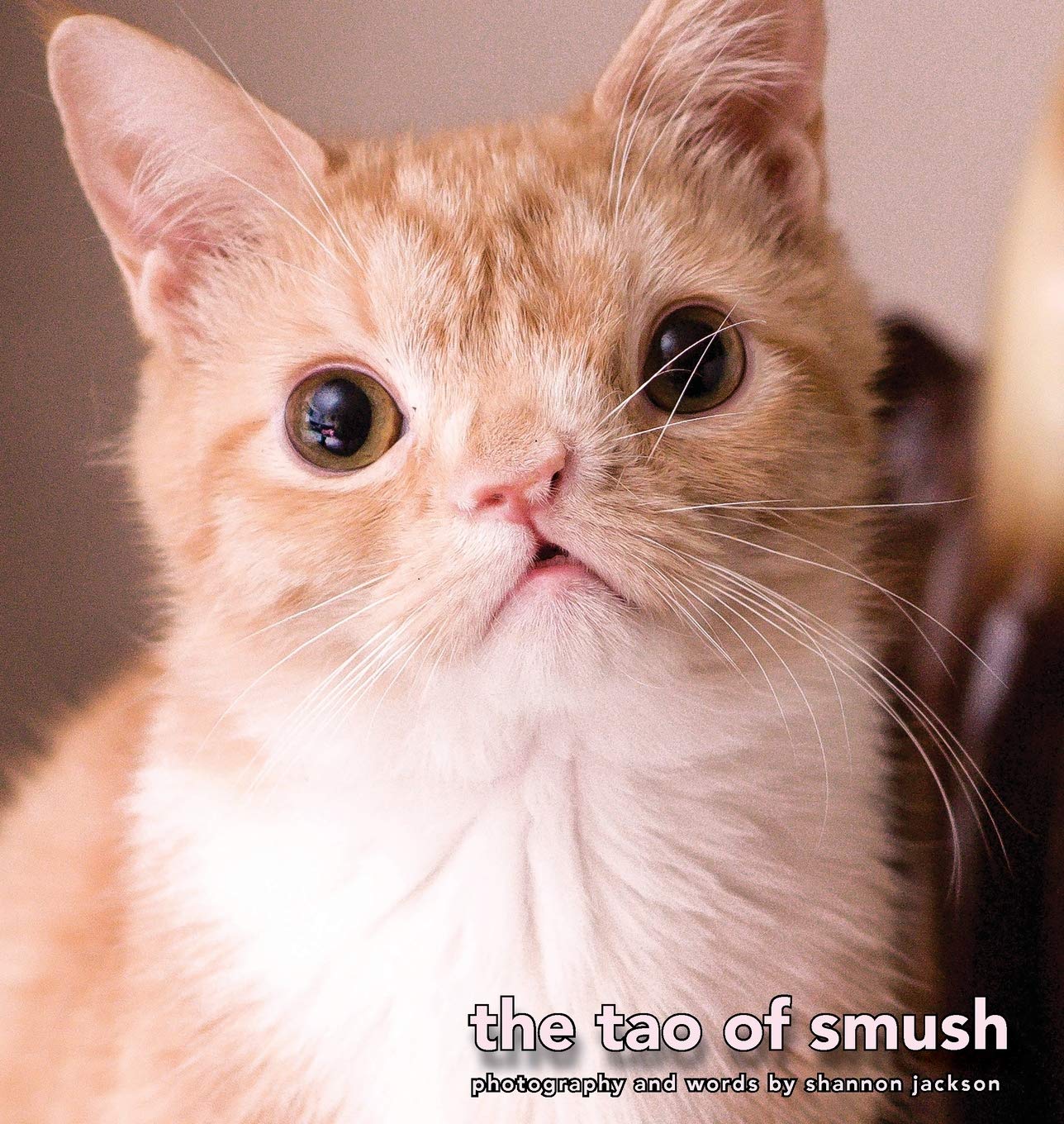 The Tao of Smush: 1