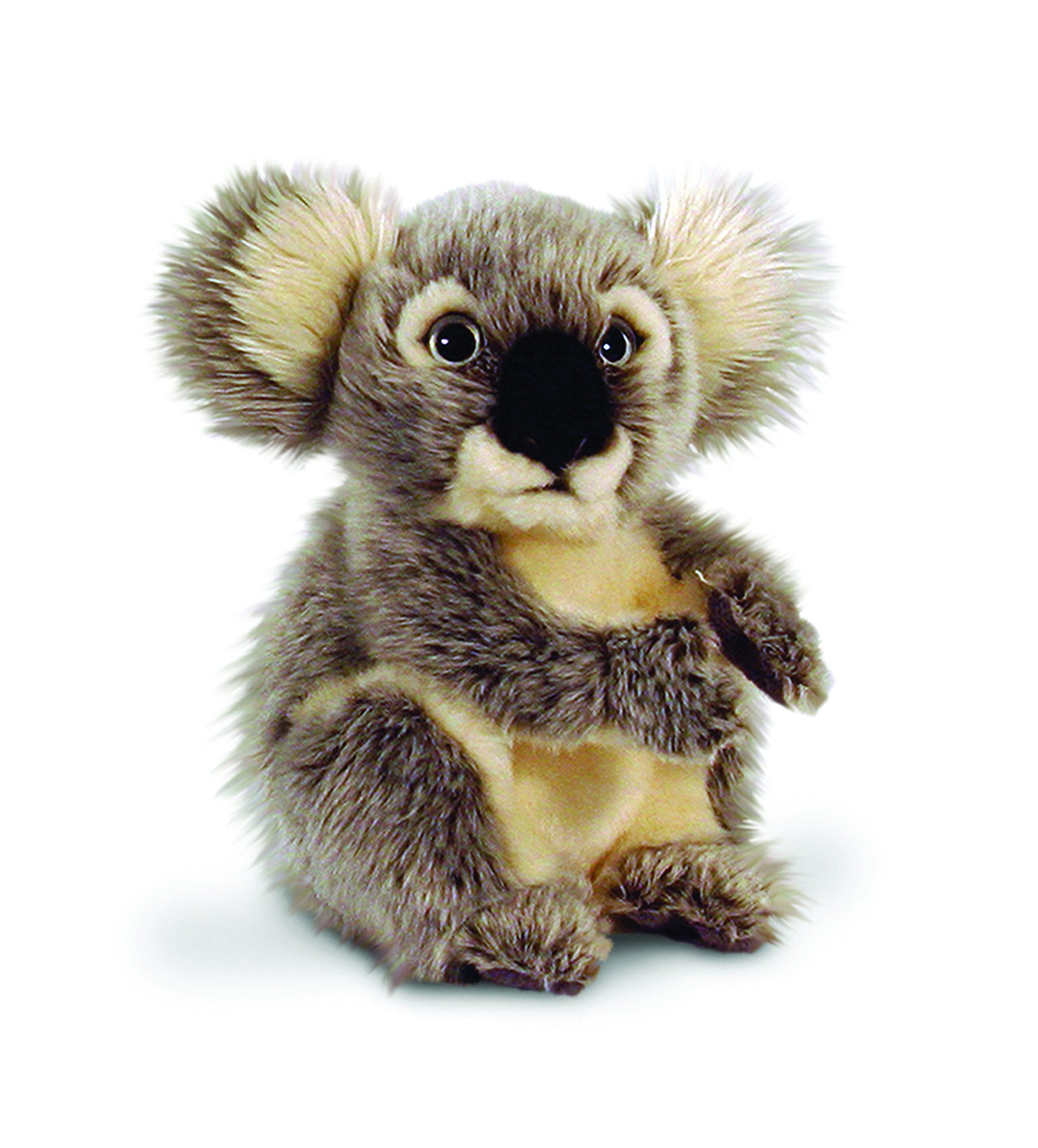 Keel Toys20cm Koala