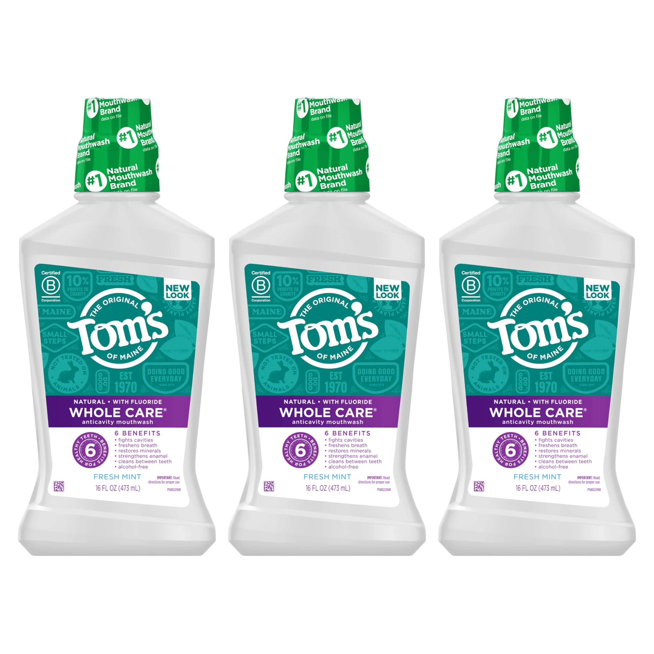 Tom's of MaineWhole Care Natural Fluoride Mouthwash, Fresh Mint, 16 Oz (Pack of 3) (Packaging May Vary)